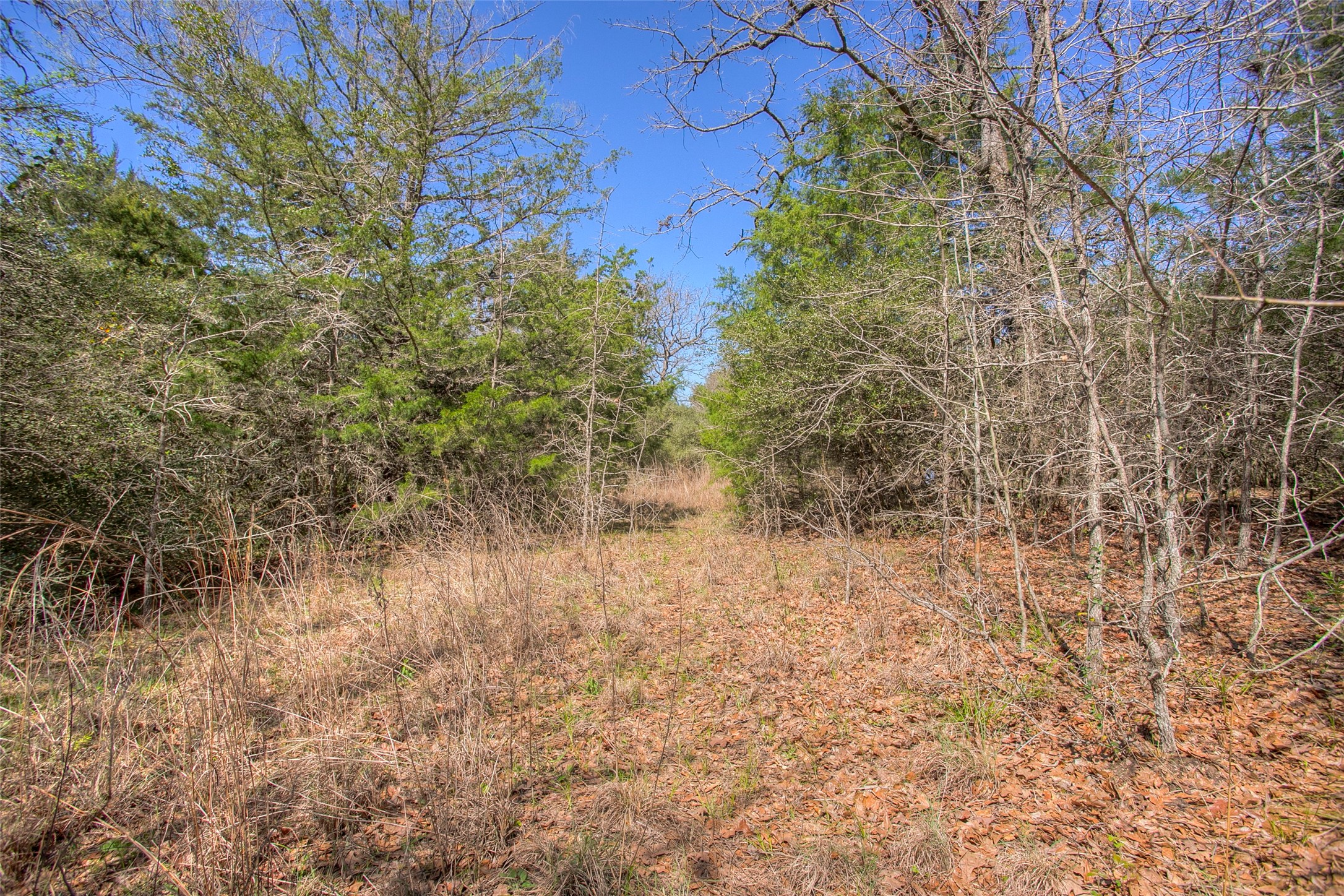Tbd County Road 482 Property Photo 39