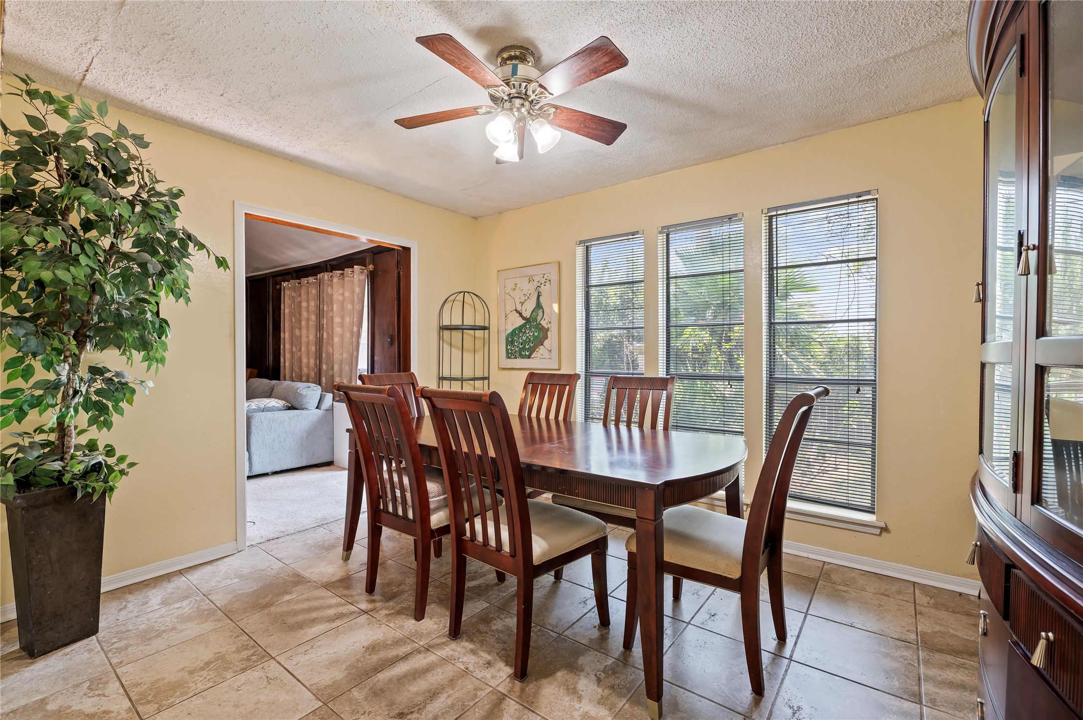 43 Quintana Drive Property Photo 14