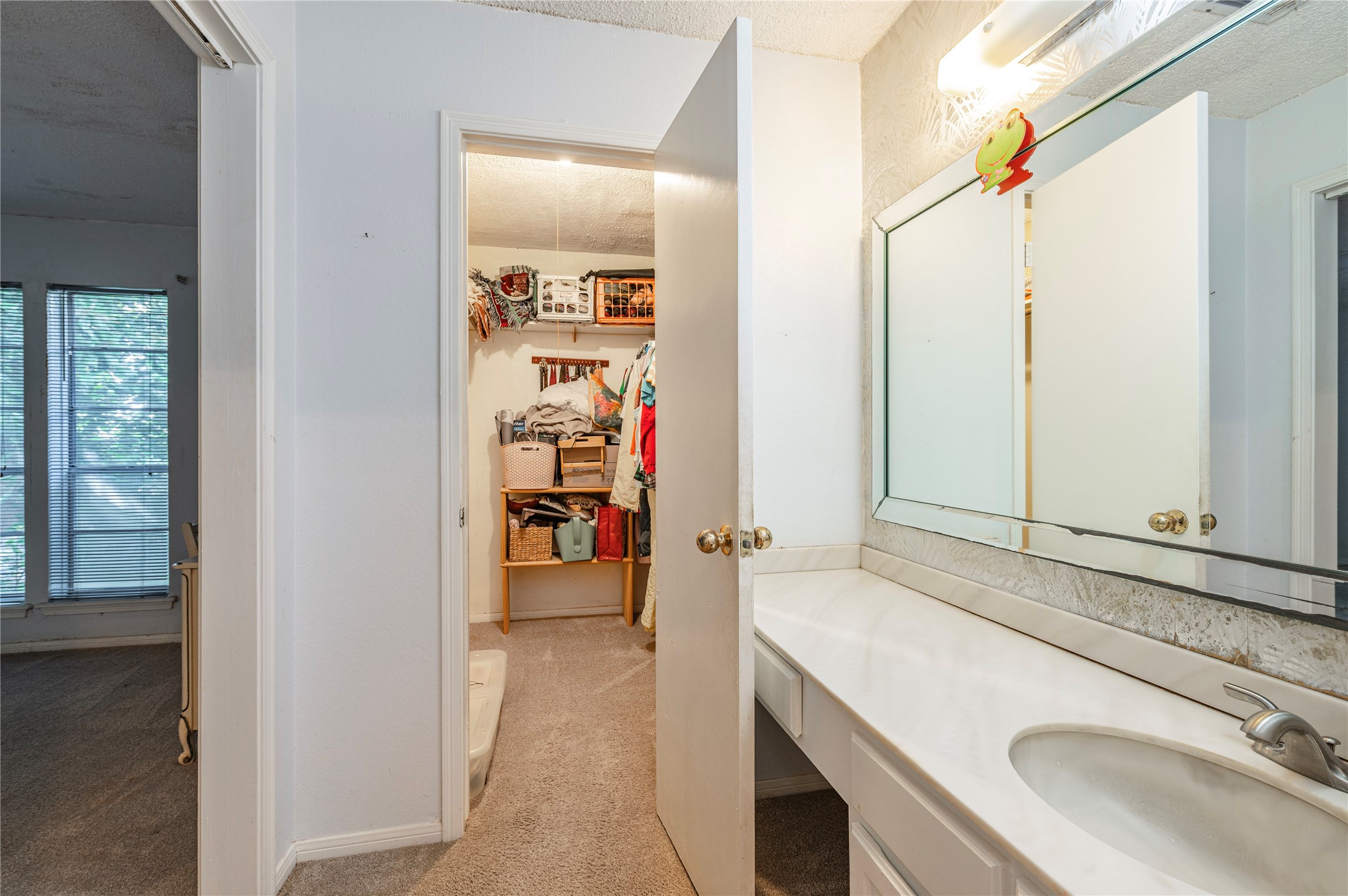 43 Quintana Drive Property Photo 19