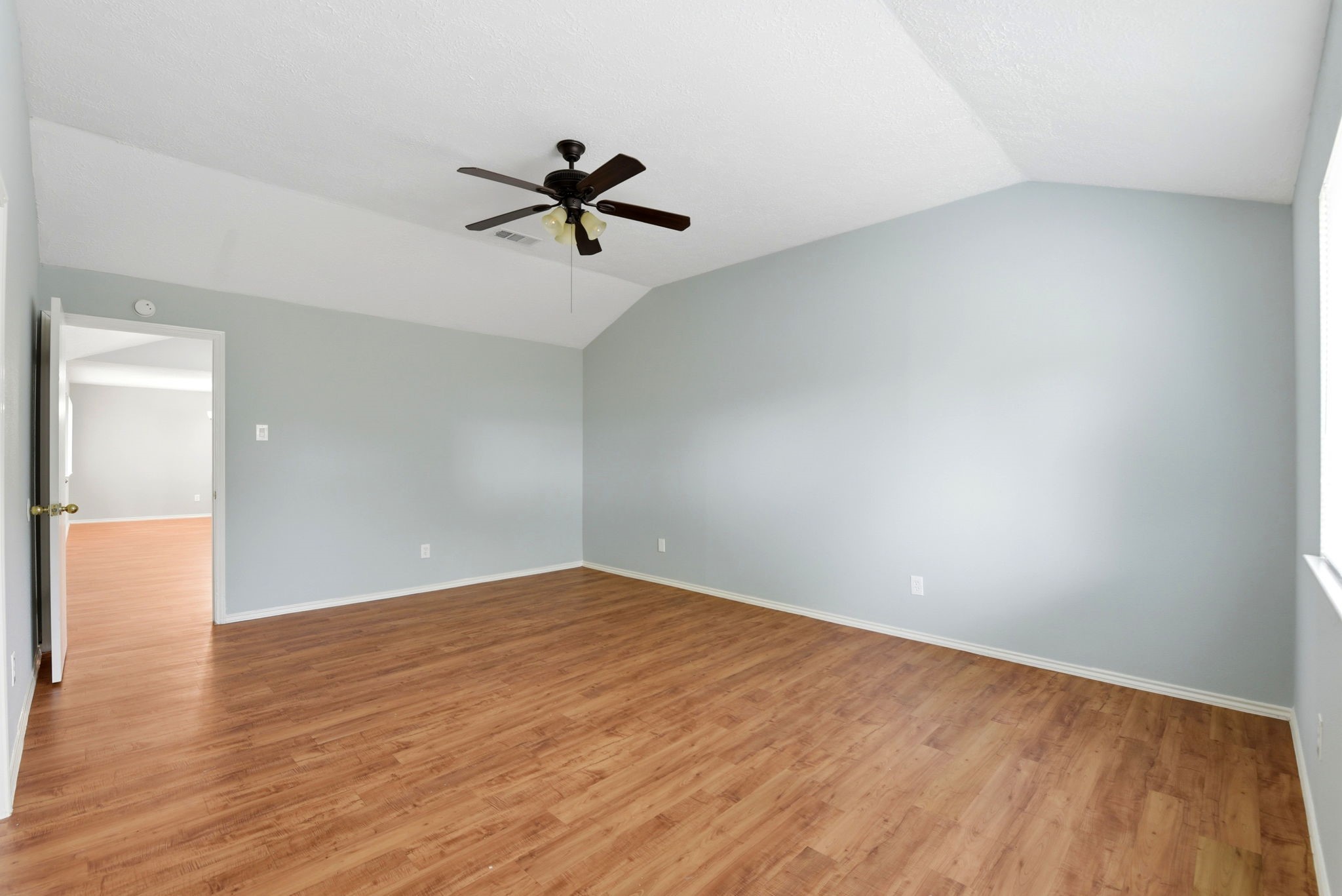 21330 Golden Dove Drive Property Photo 12