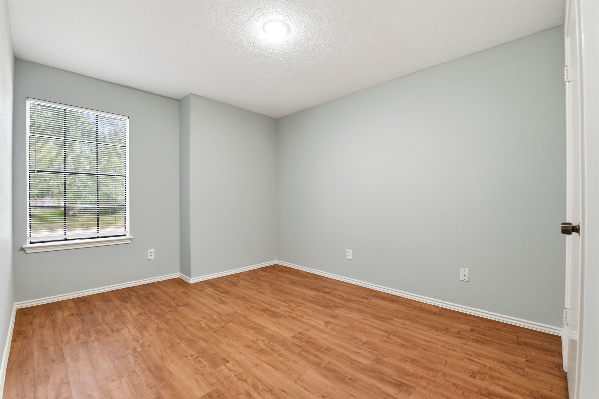 21330 Golden Dove Drive Property Photo 16