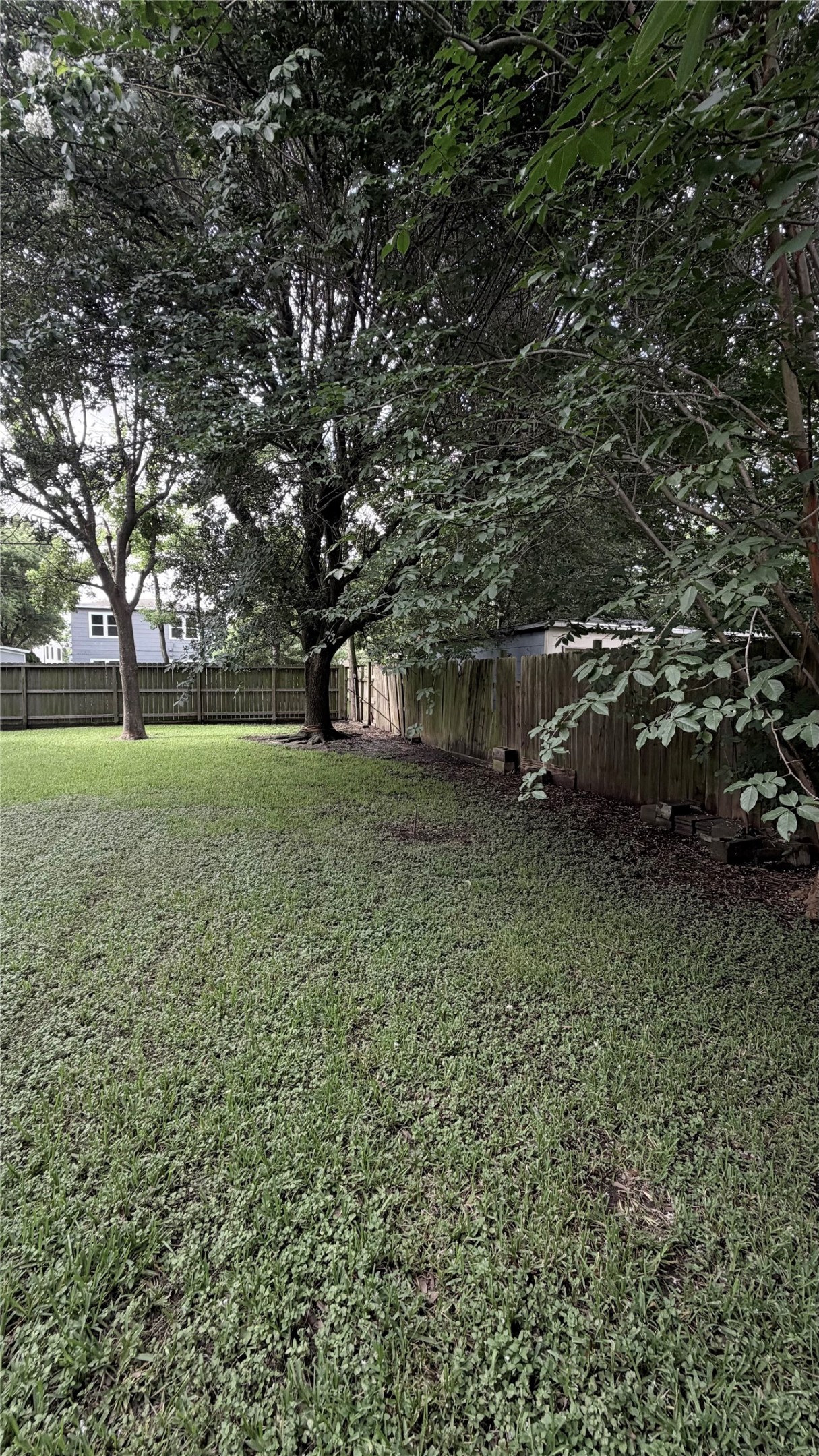 1118 Hunter Drive A Property Photo 26