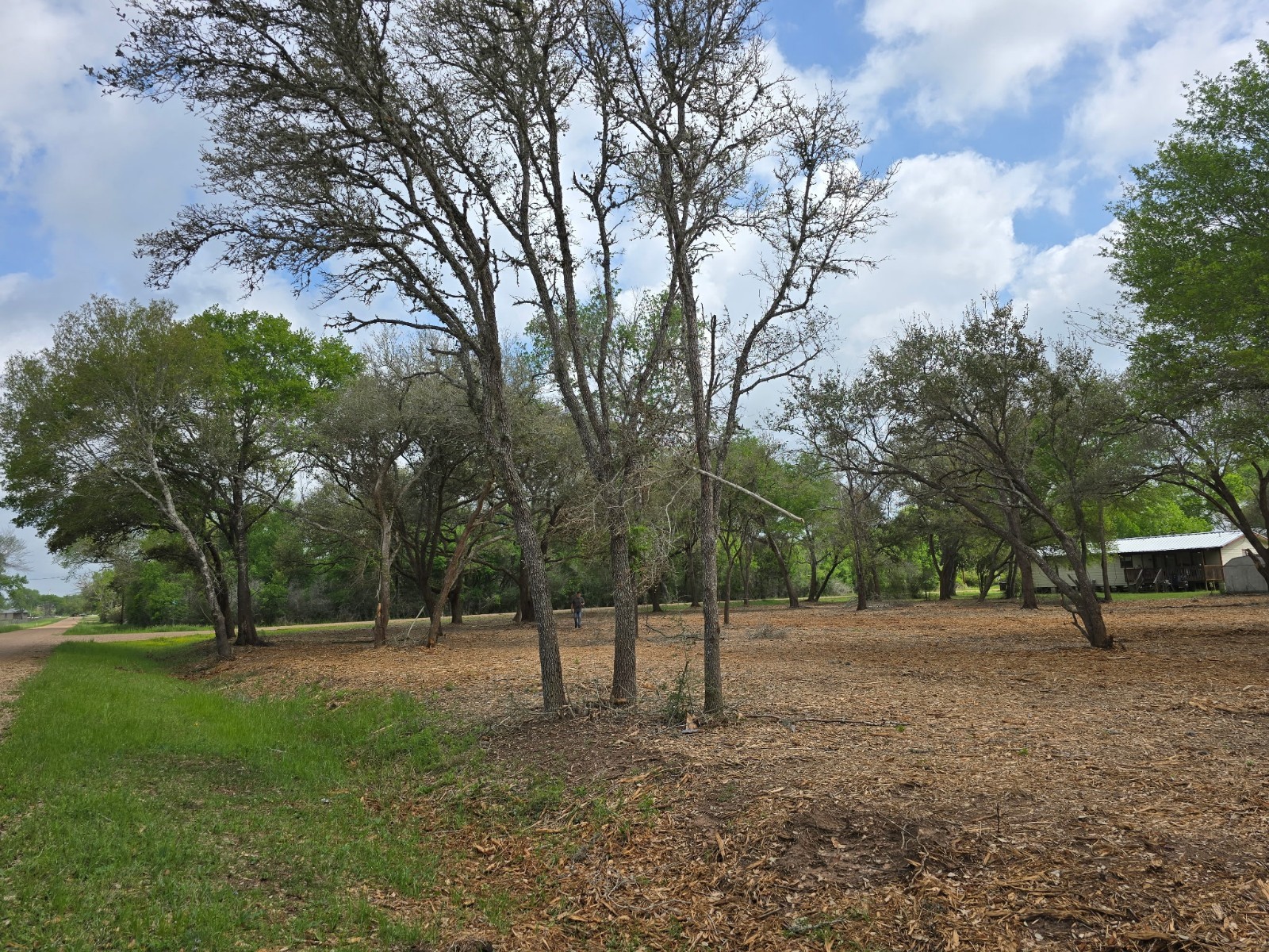 0 Tinkler Property Photo 6