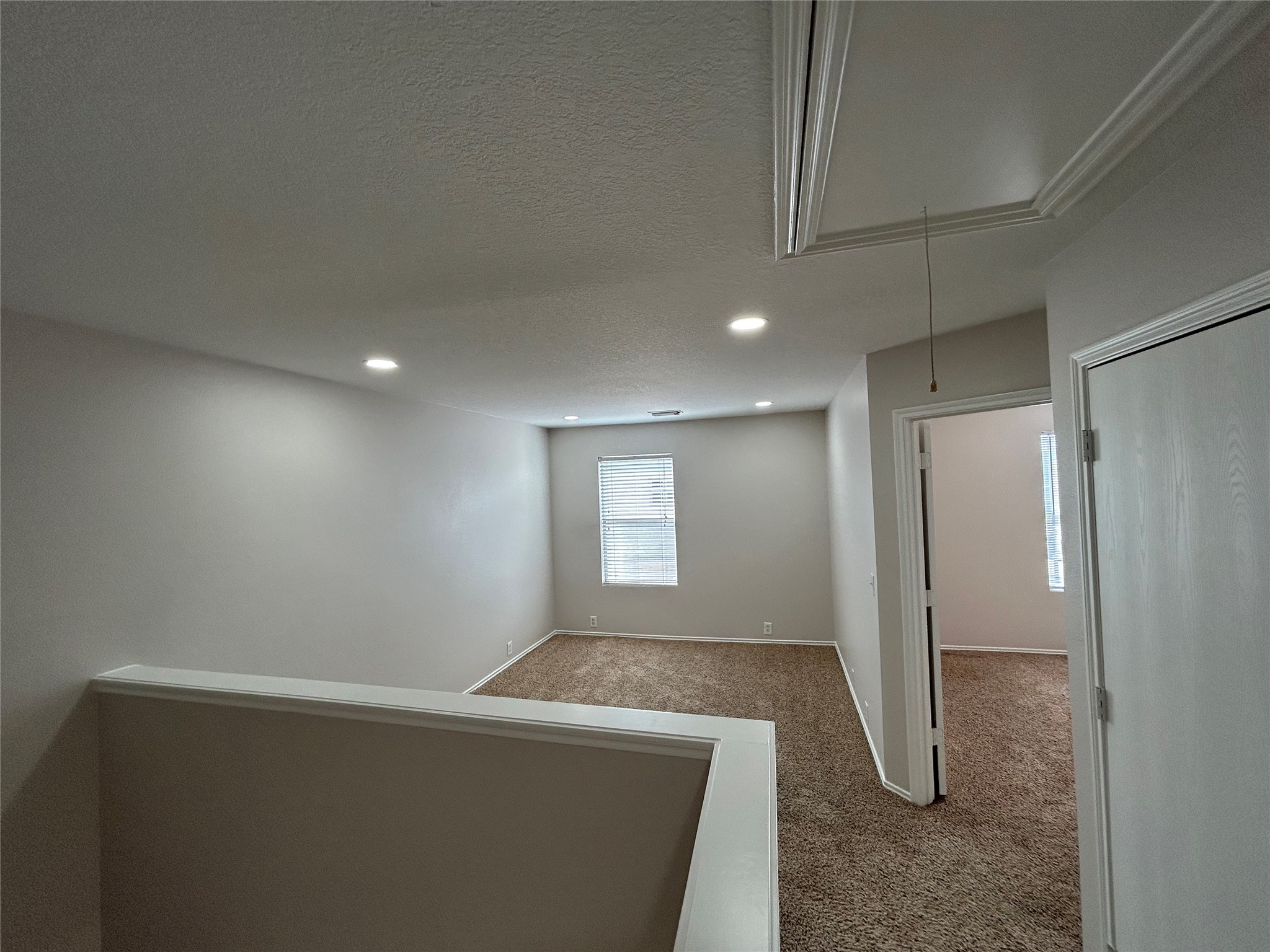16851 Pine Castle Drive Property Photo 13