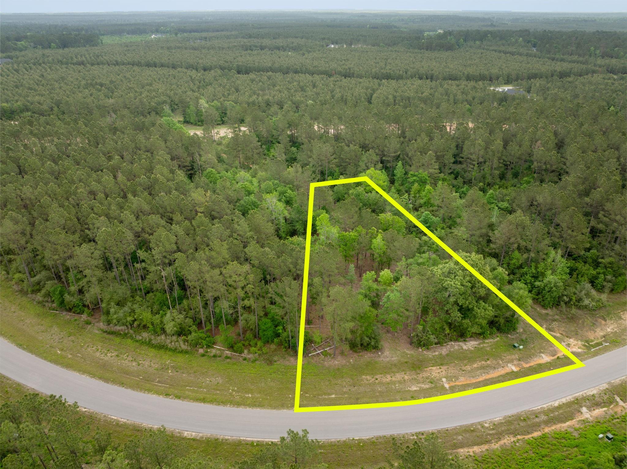 15396 Forest Grove Drive, Willis TX 77378 Property Photo 1