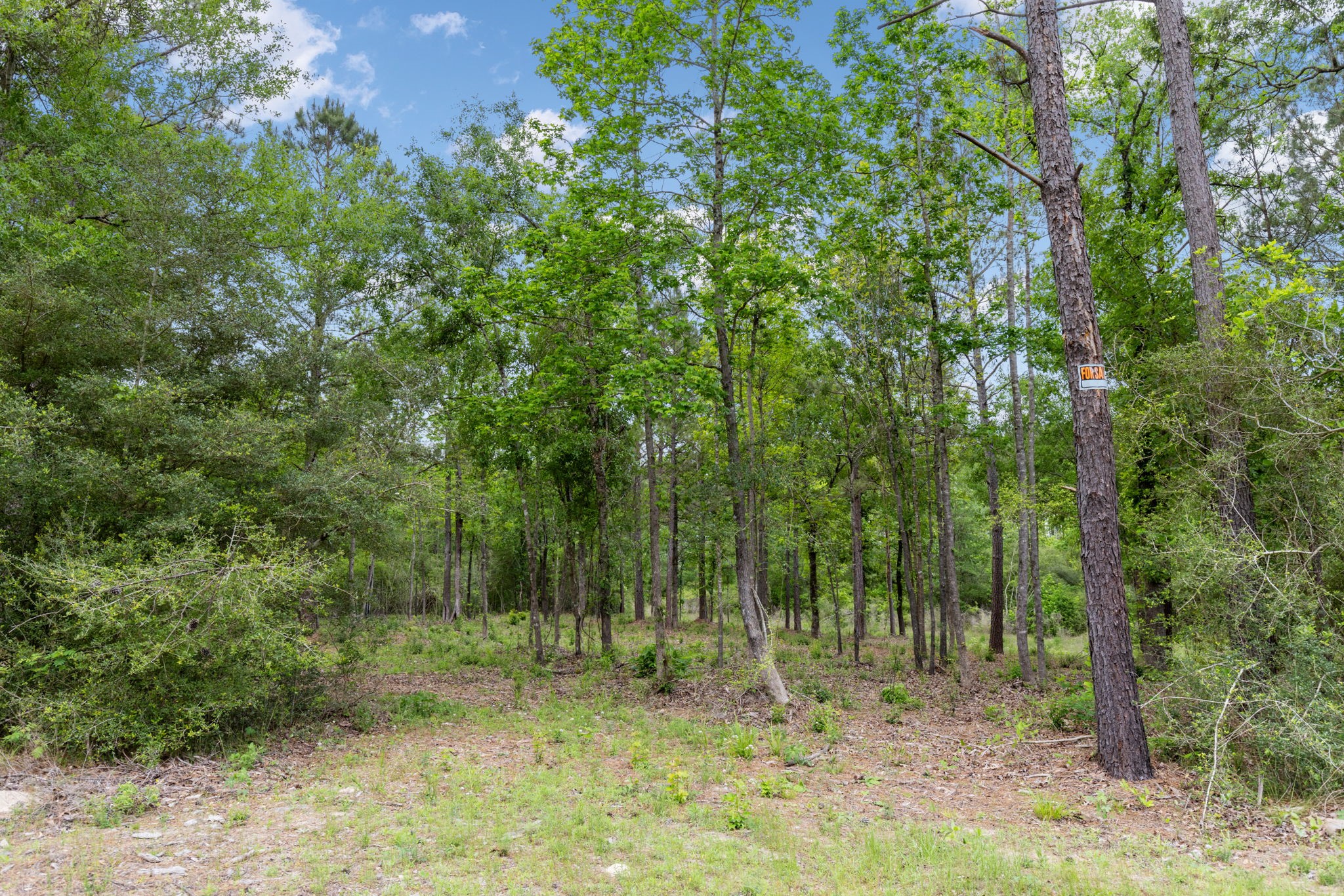 15396 Forest Grove Drive Property Photo 2