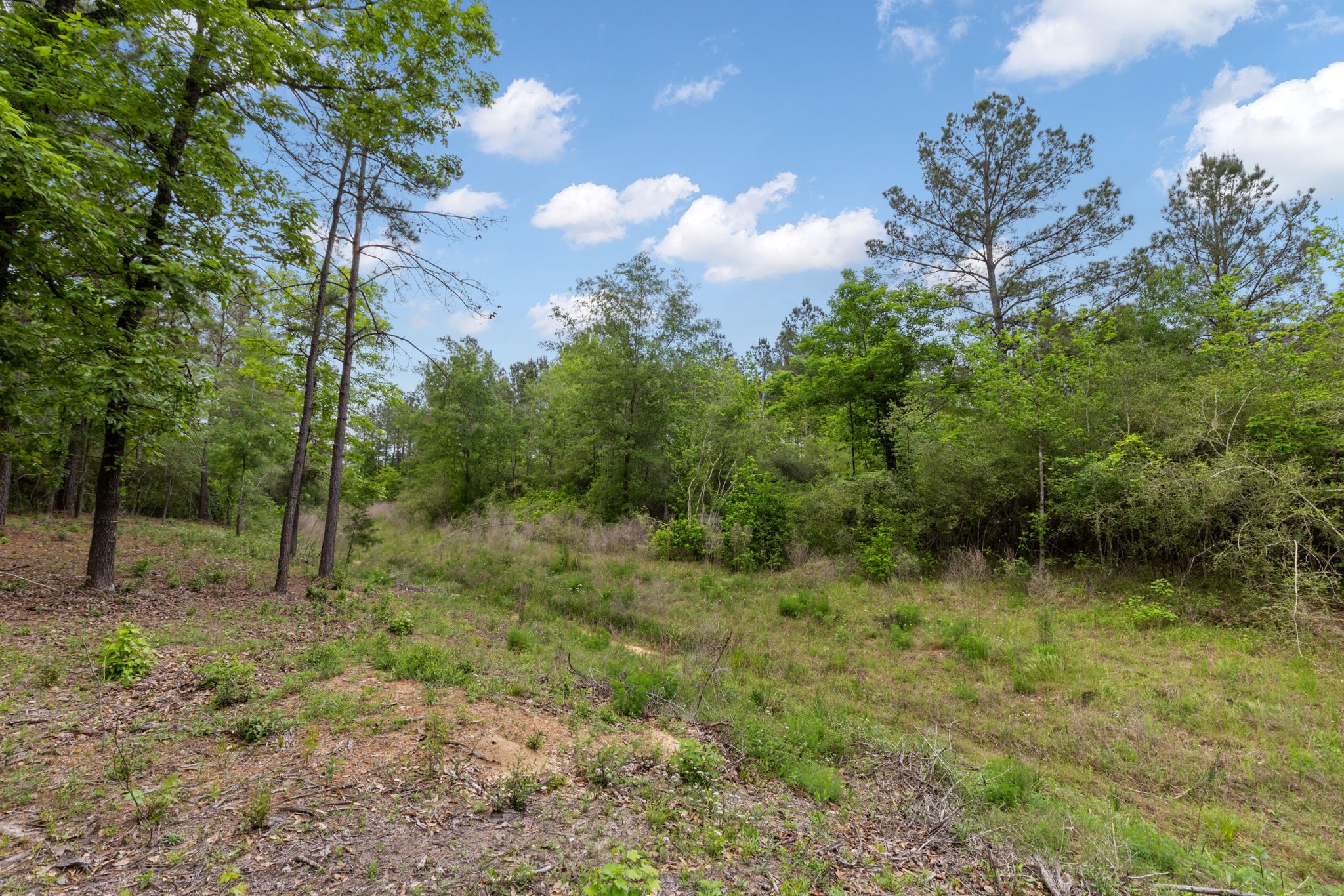 15396 Forest Grove Drive Property Photo 4