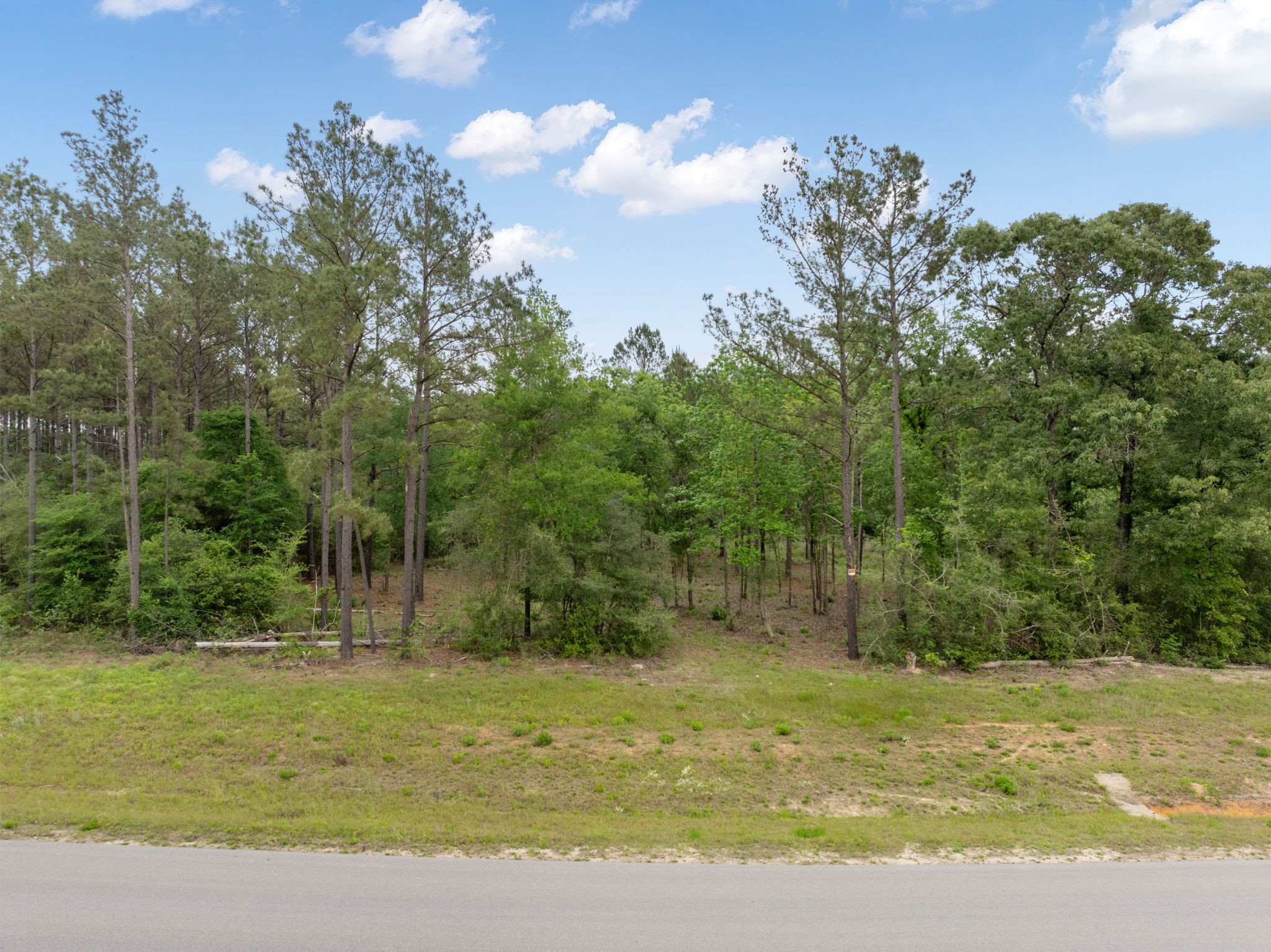 15396 Forest Grove Drive Property Photo 7