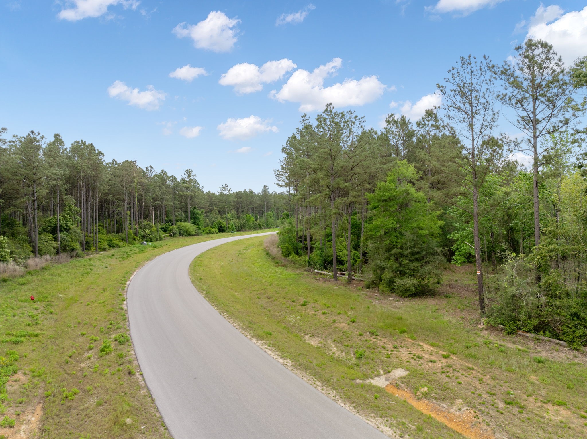 15396 Forest Grove Drive Property Photo 8