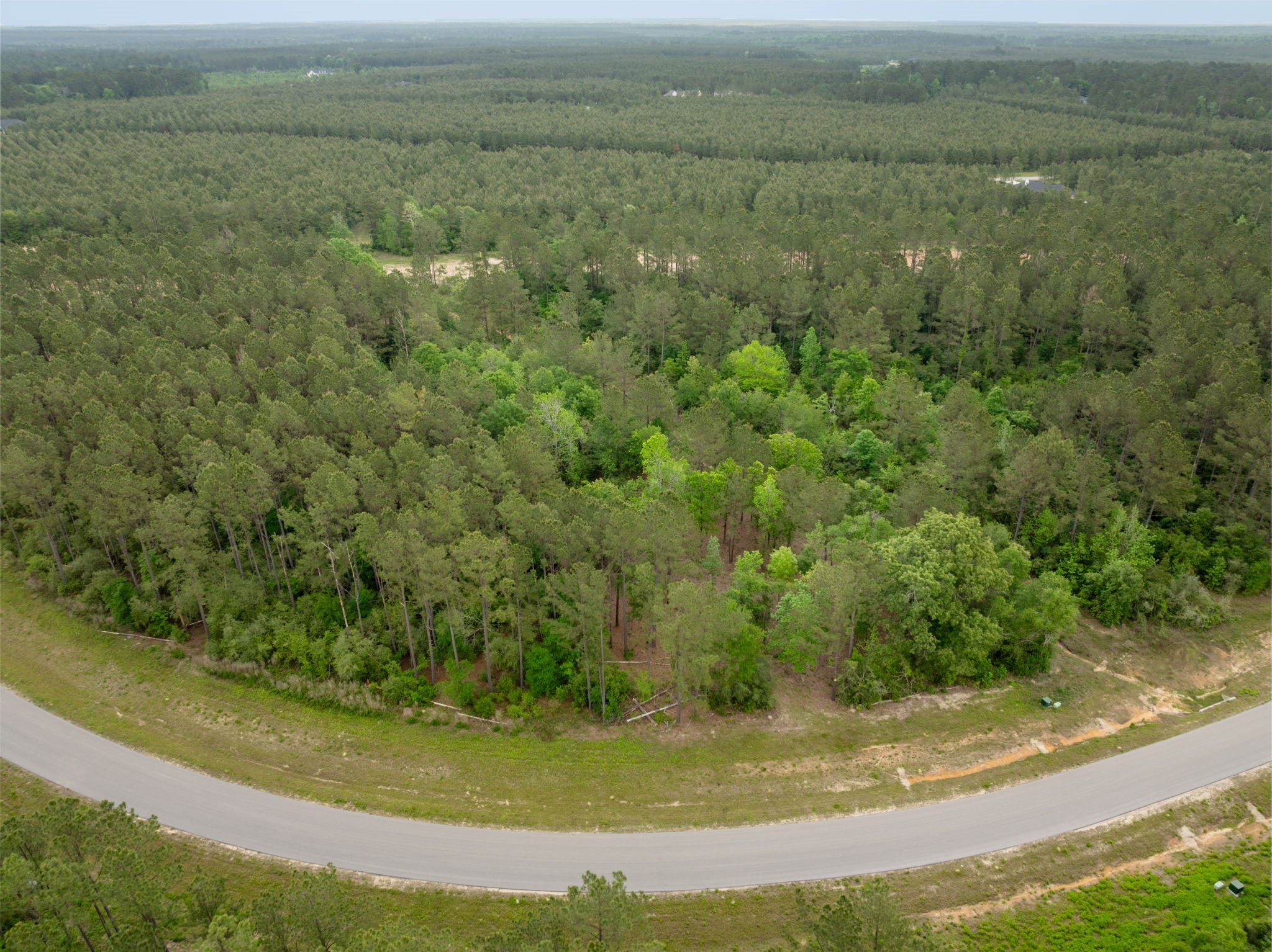 15396 Forest Grove Drive Property Photo 9