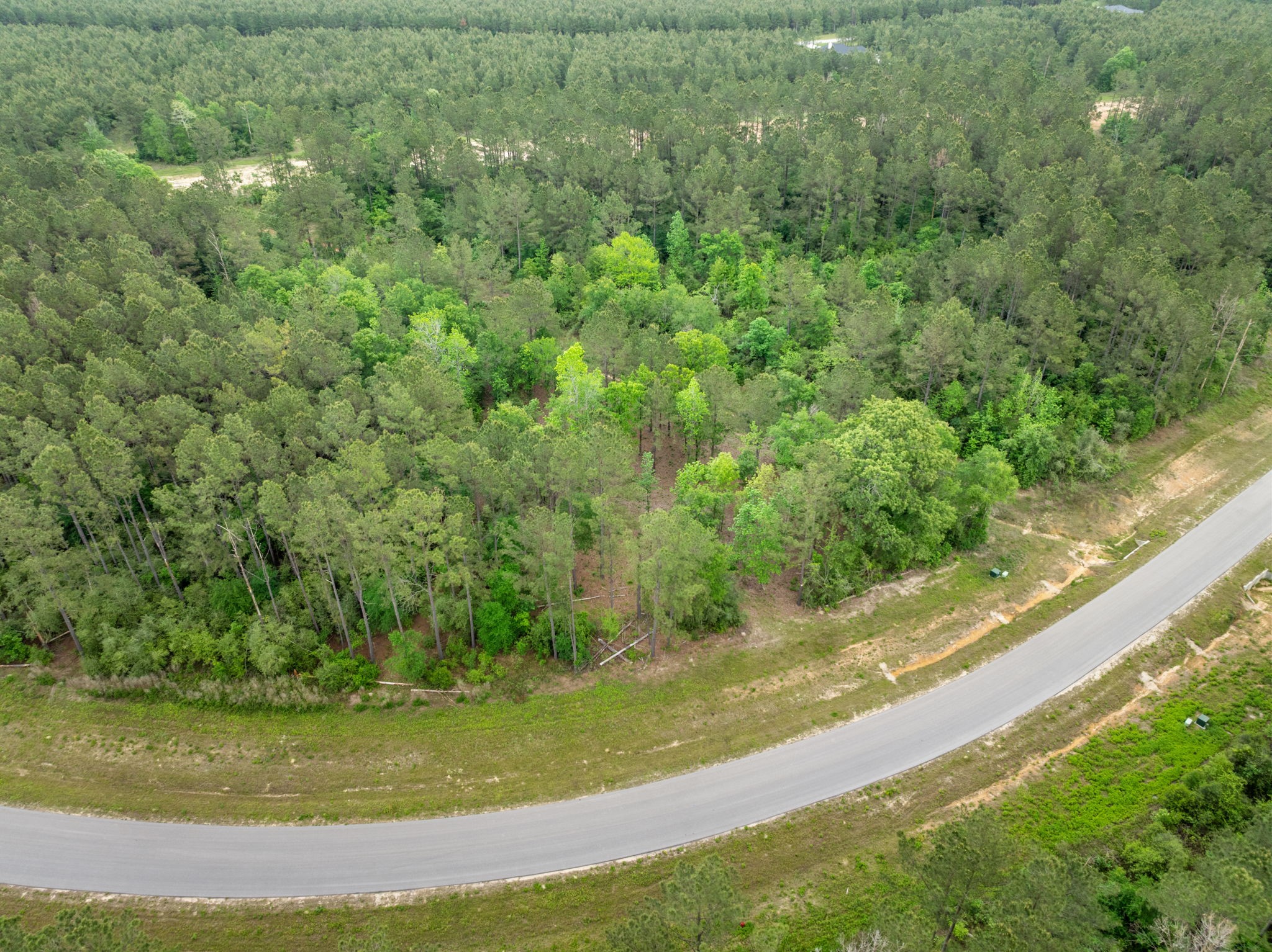 15396 Forest Grove Drive Property Photo 10