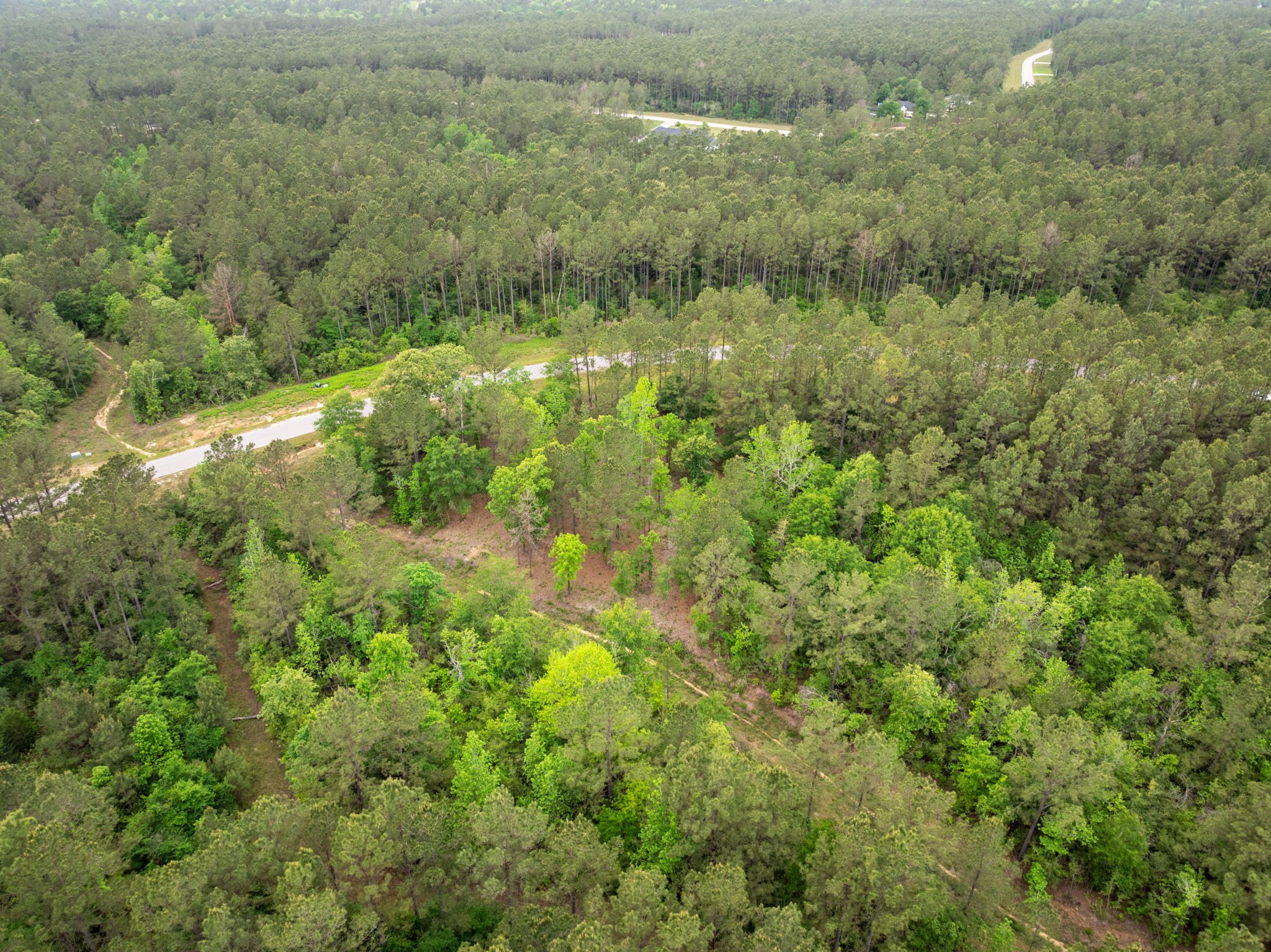 15396 Forest Grove Drive Property Photo 12