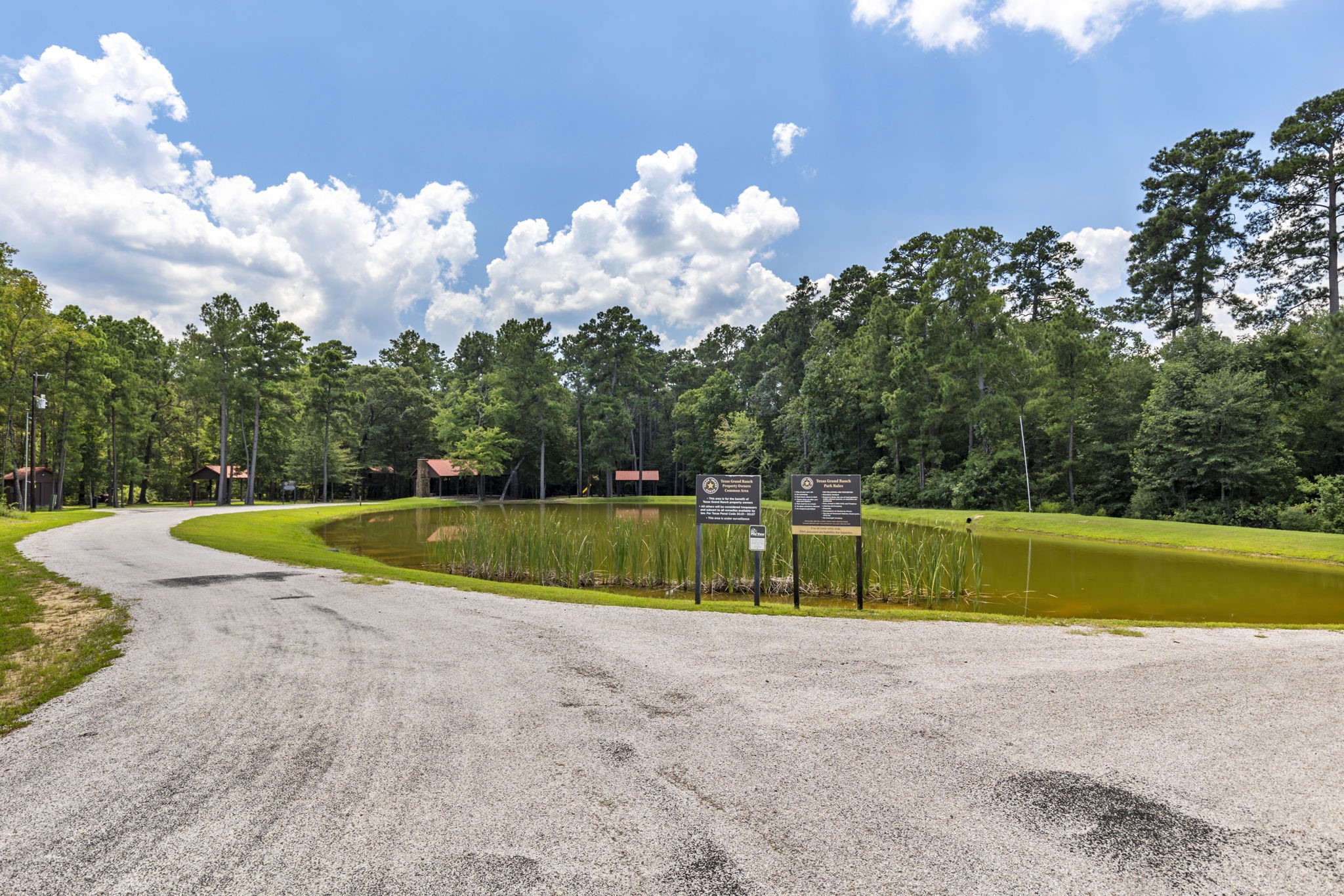 15396 Forest Grove Drive Property Photo 29