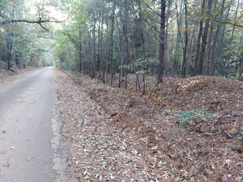 0 County Road 1587 Tr 3a Property Photo 1