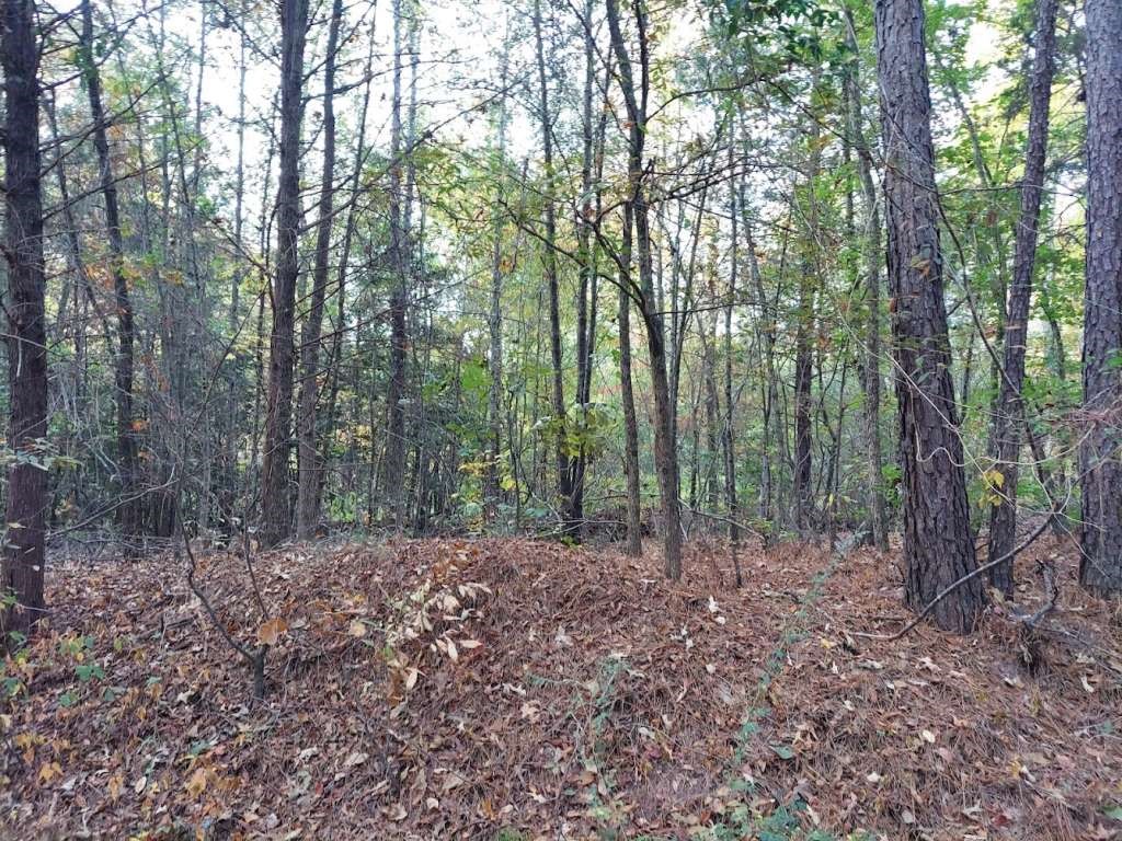 0 County Road 1587 Tr 3a Property Photo 2
