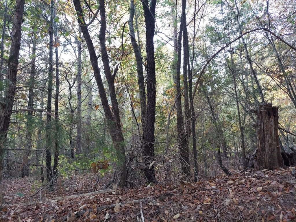 0 County Road 1587 Tr 3a Property Photo 3