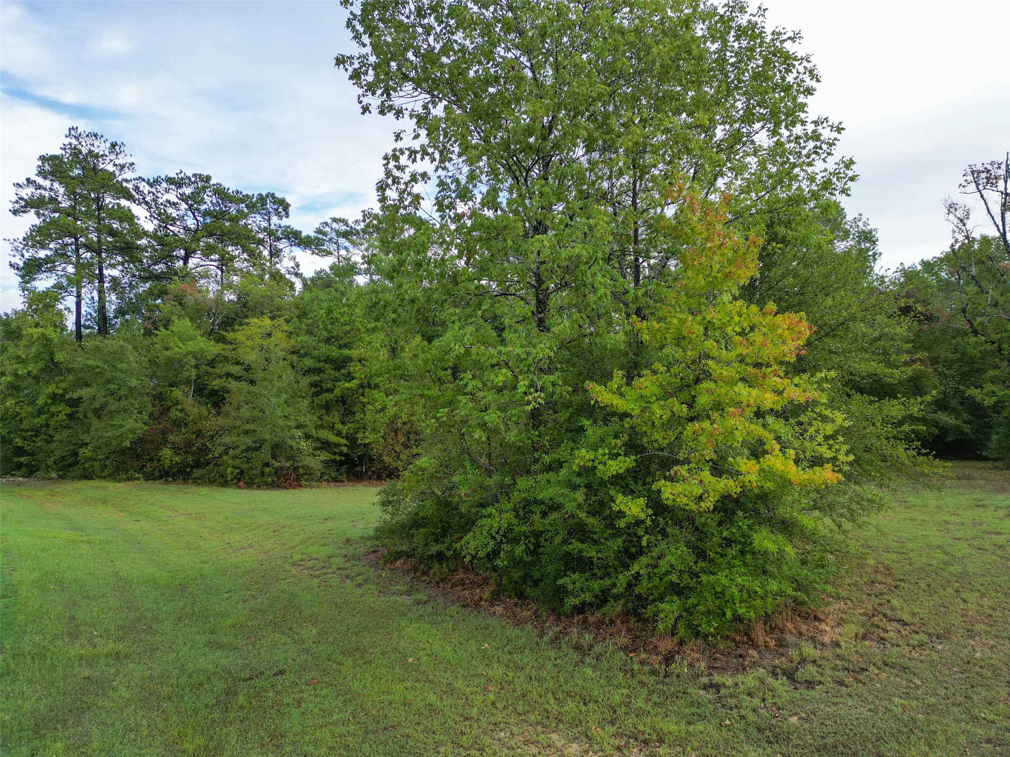 1572 Emerald Lakes Drive Property Photo 14