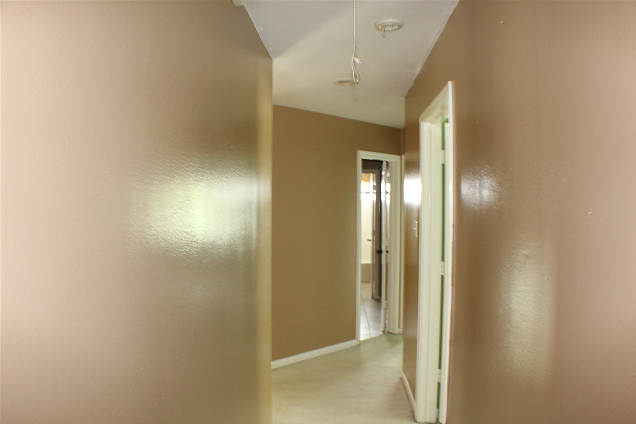 12231 Ashford Park Drive Property Photo 38