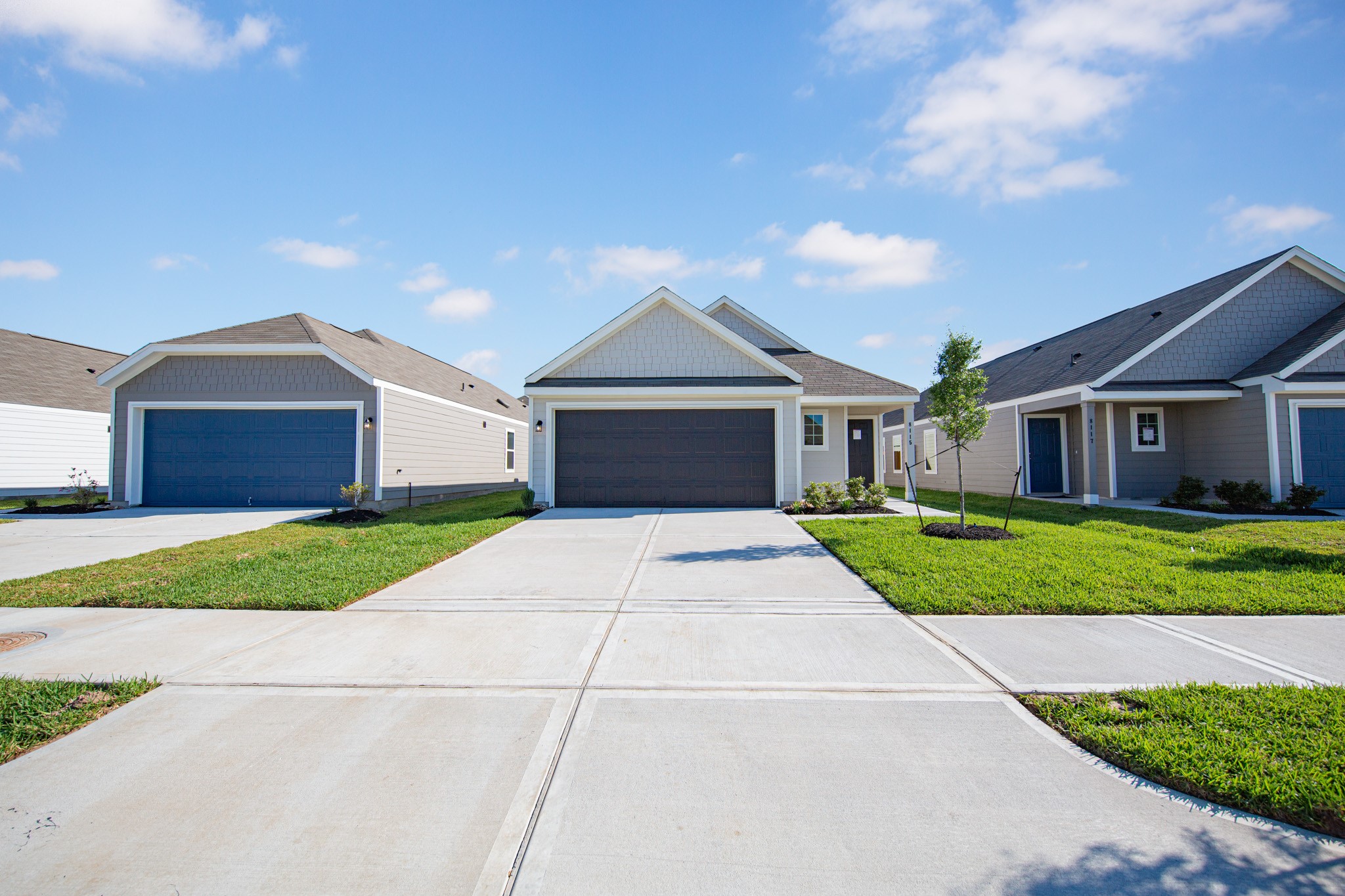8115 Vanilla Orchid Drive Property Photo 1
