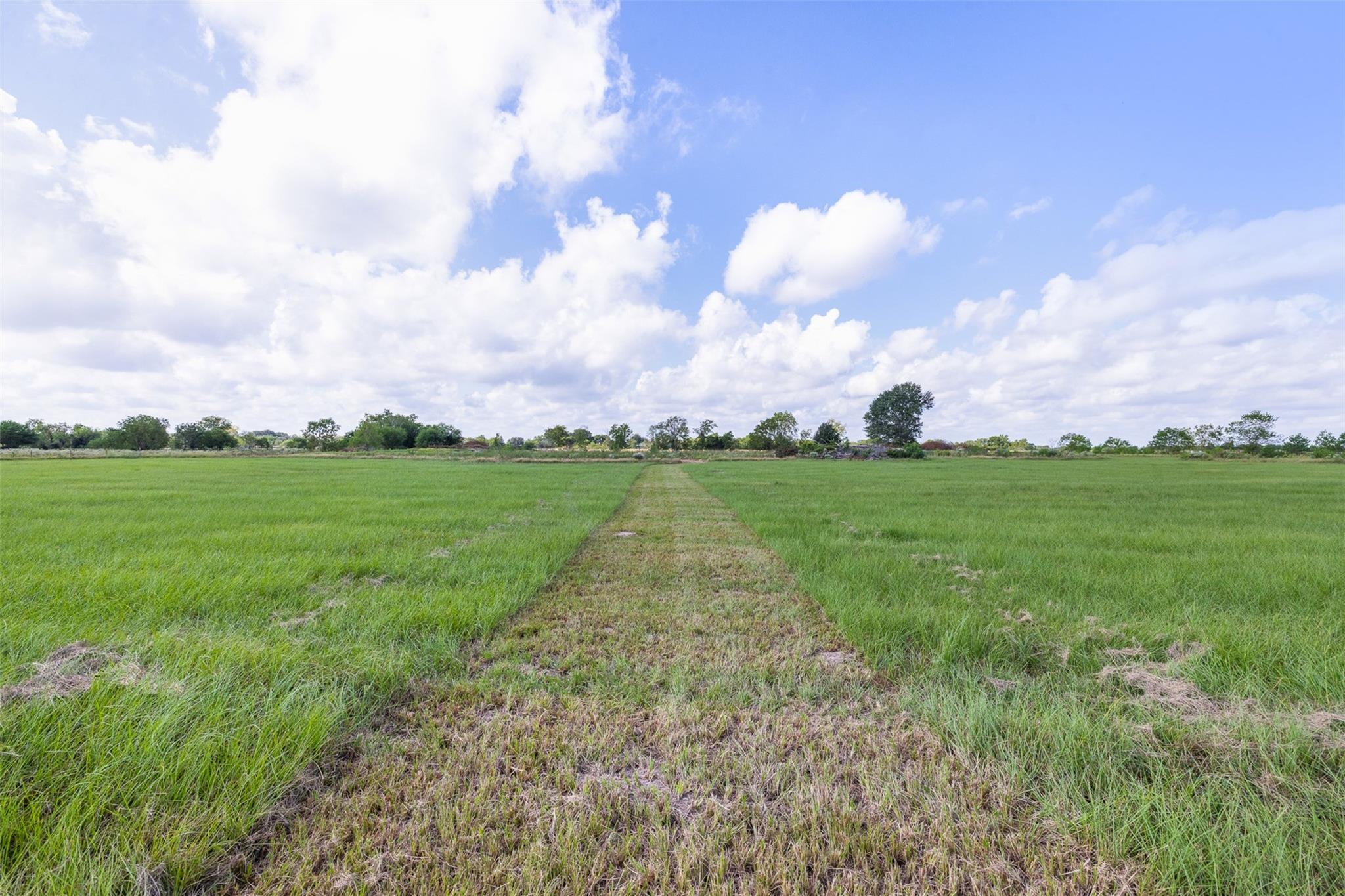 1713 Woody Lane, Sealy Tx 77474 Property Photo 10
