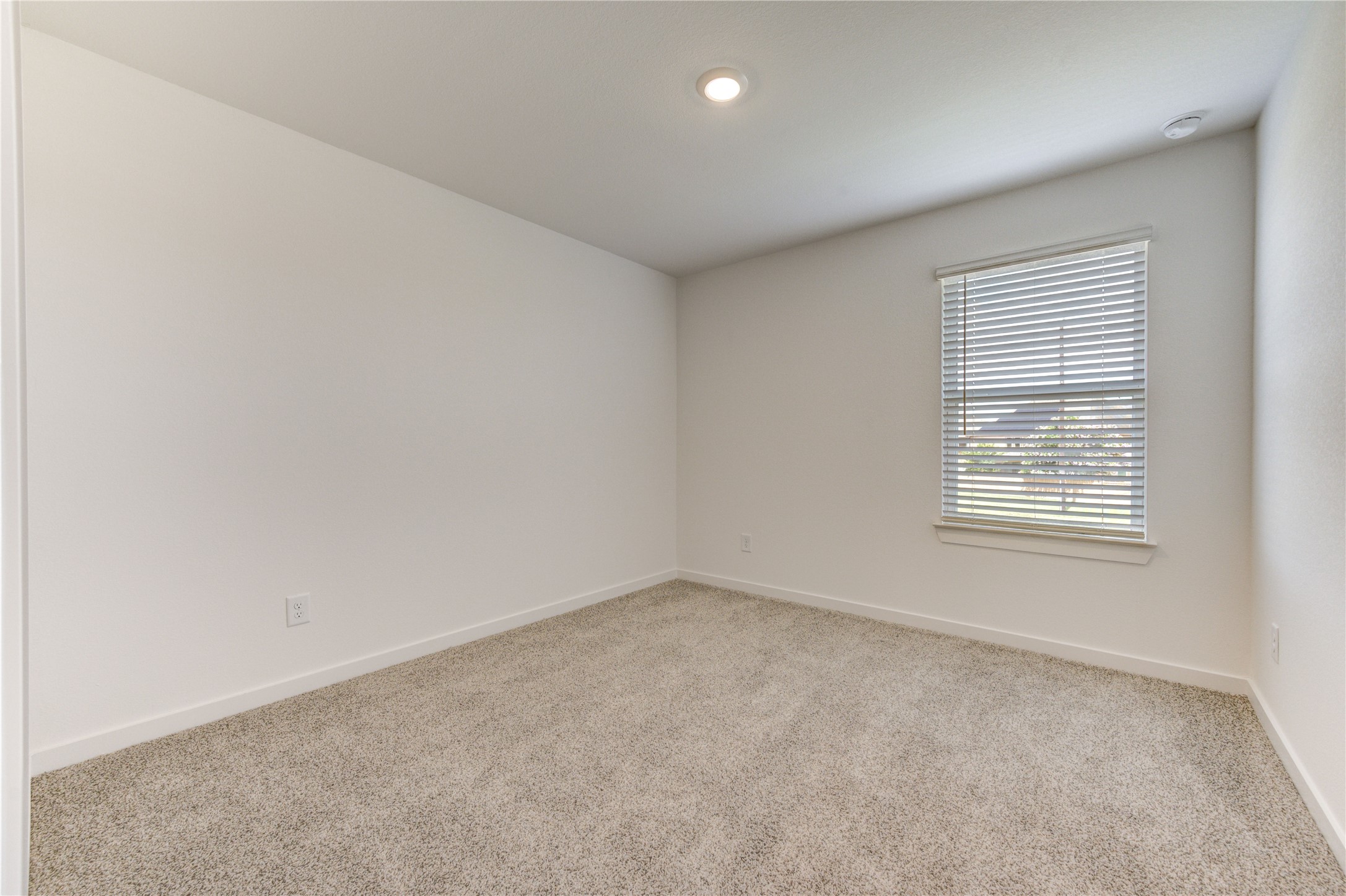 3550 Lovebird Lane Property Photo 19
