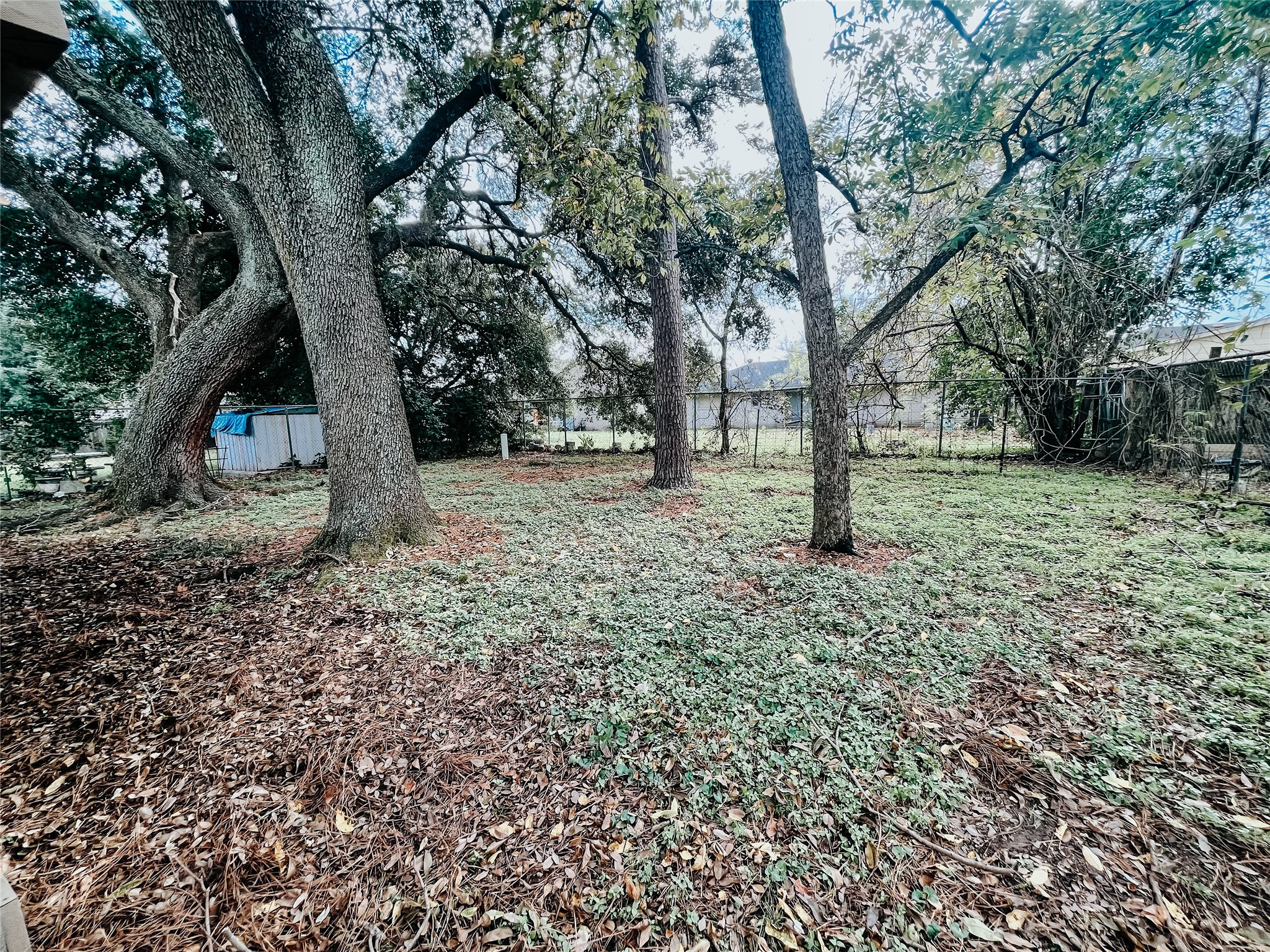 2155 Twinbrooke Drive Property Photo 22