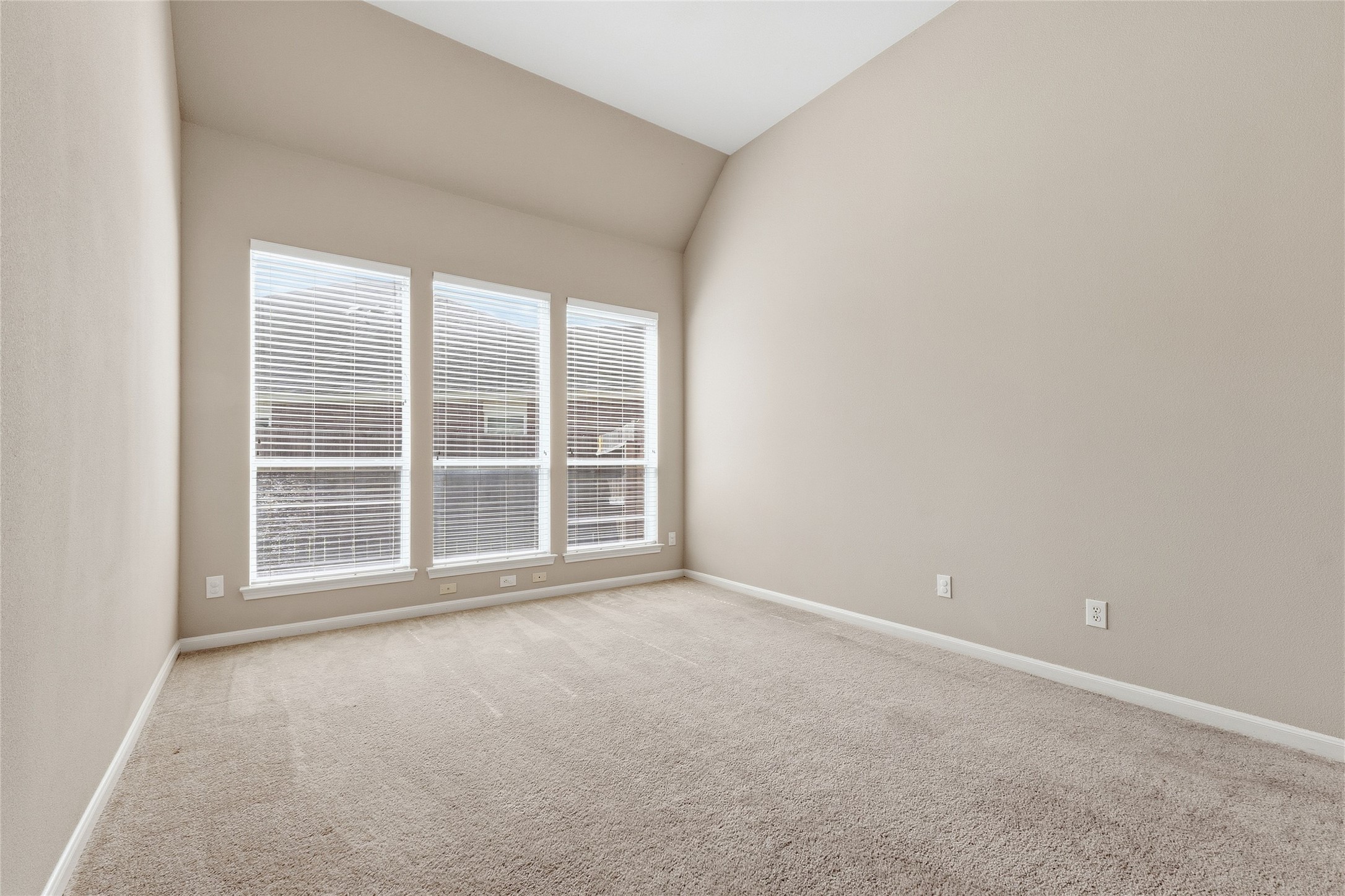 4006 Wolf Springs Court Property Photo 16