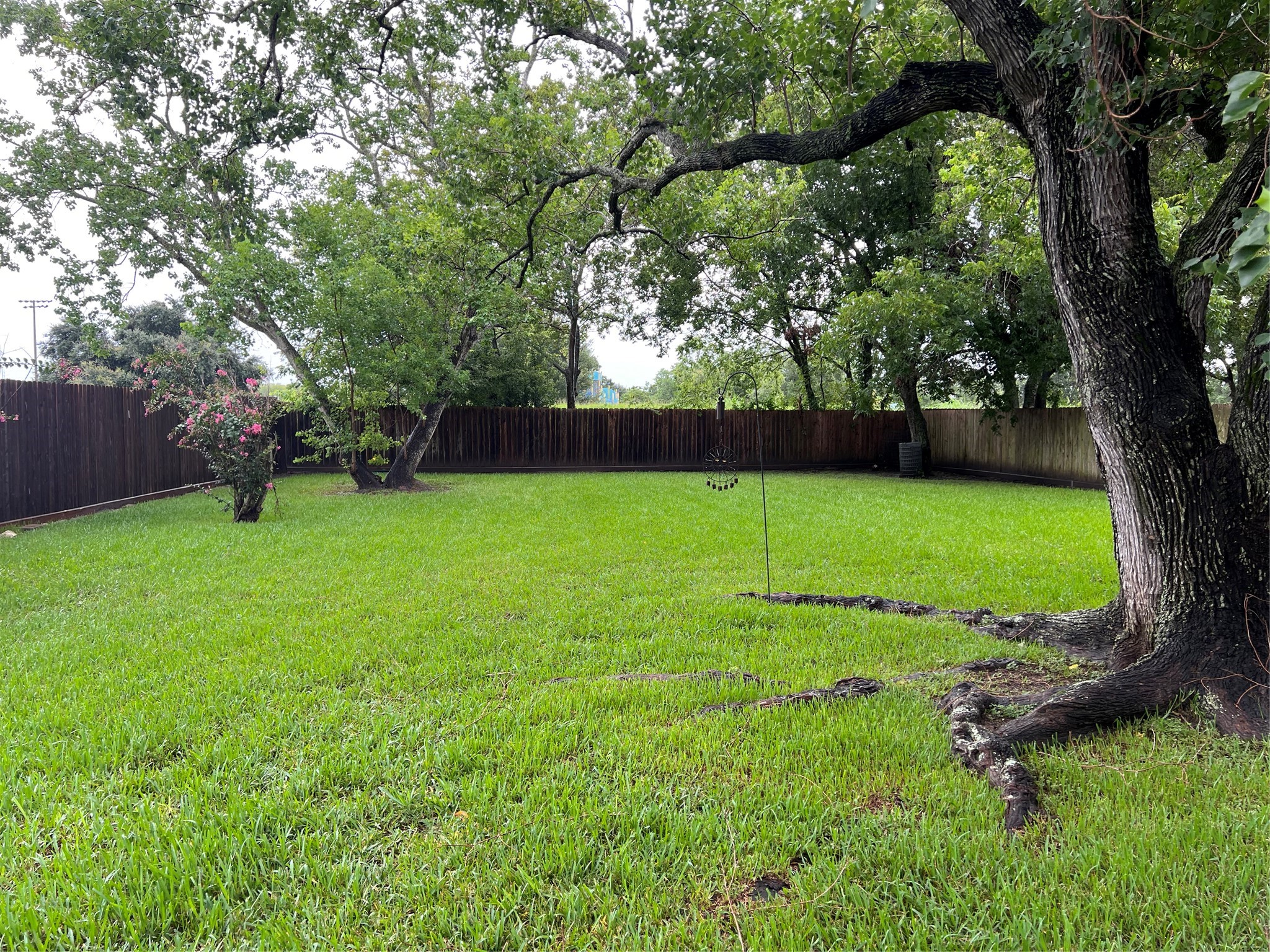 2915 Cherry Springs Drive Property Photo 5