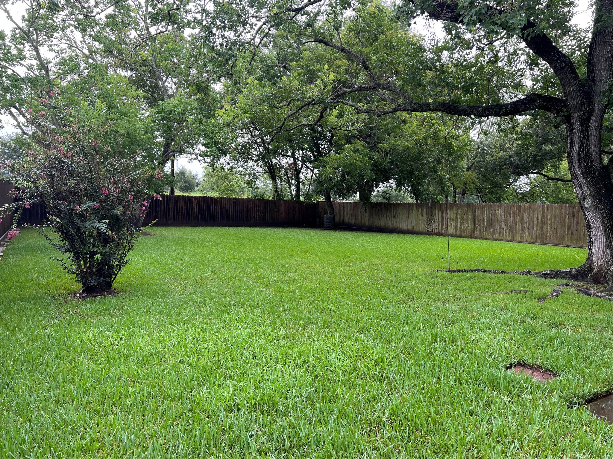 2915 Cherry Springs Drive Property Photo 6
