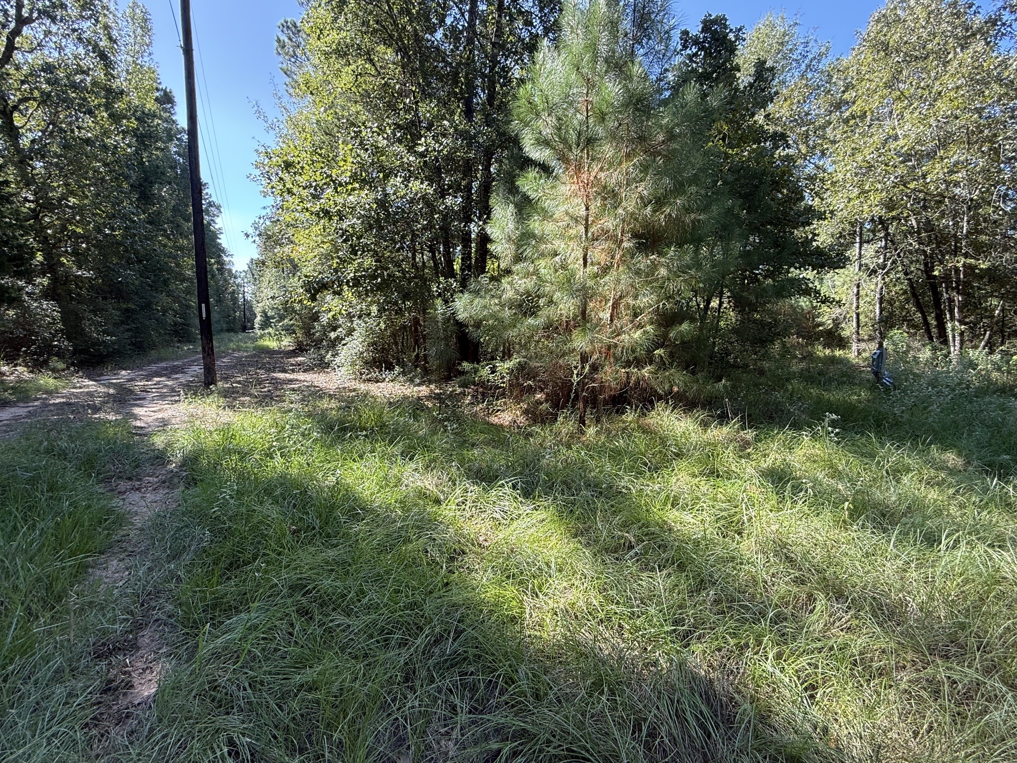 Tbd Cr 3385 Property Photo 1