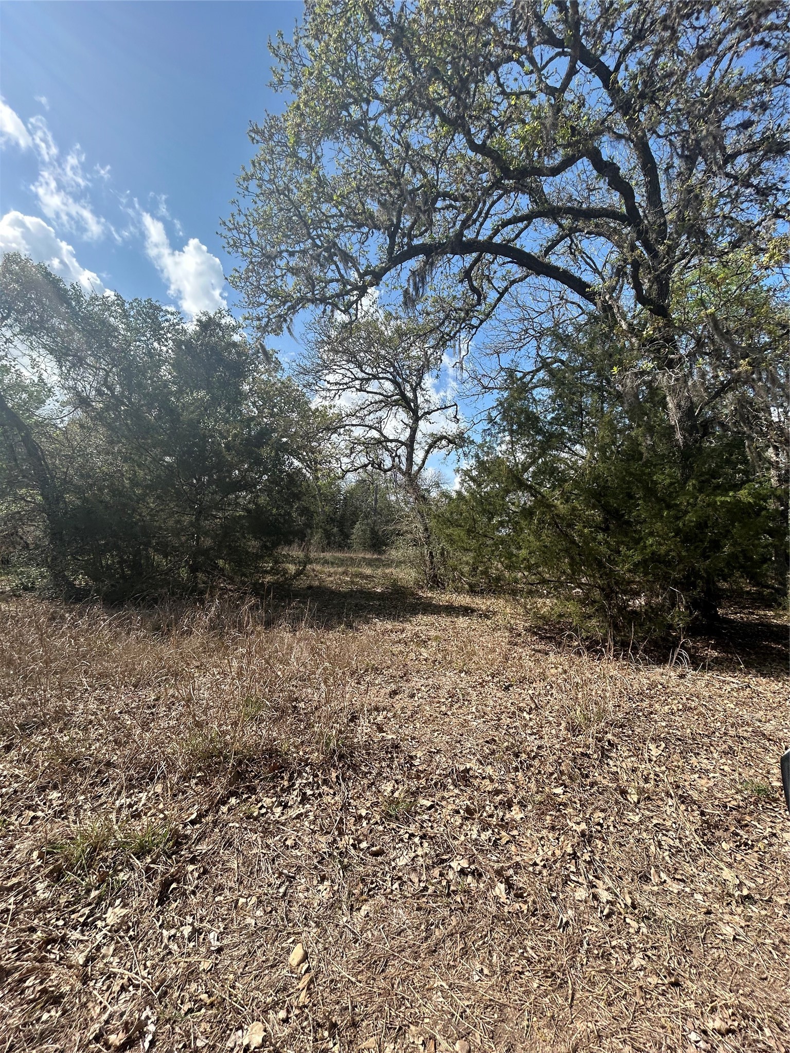 3060 Brunes Mill Road Property Photo 1