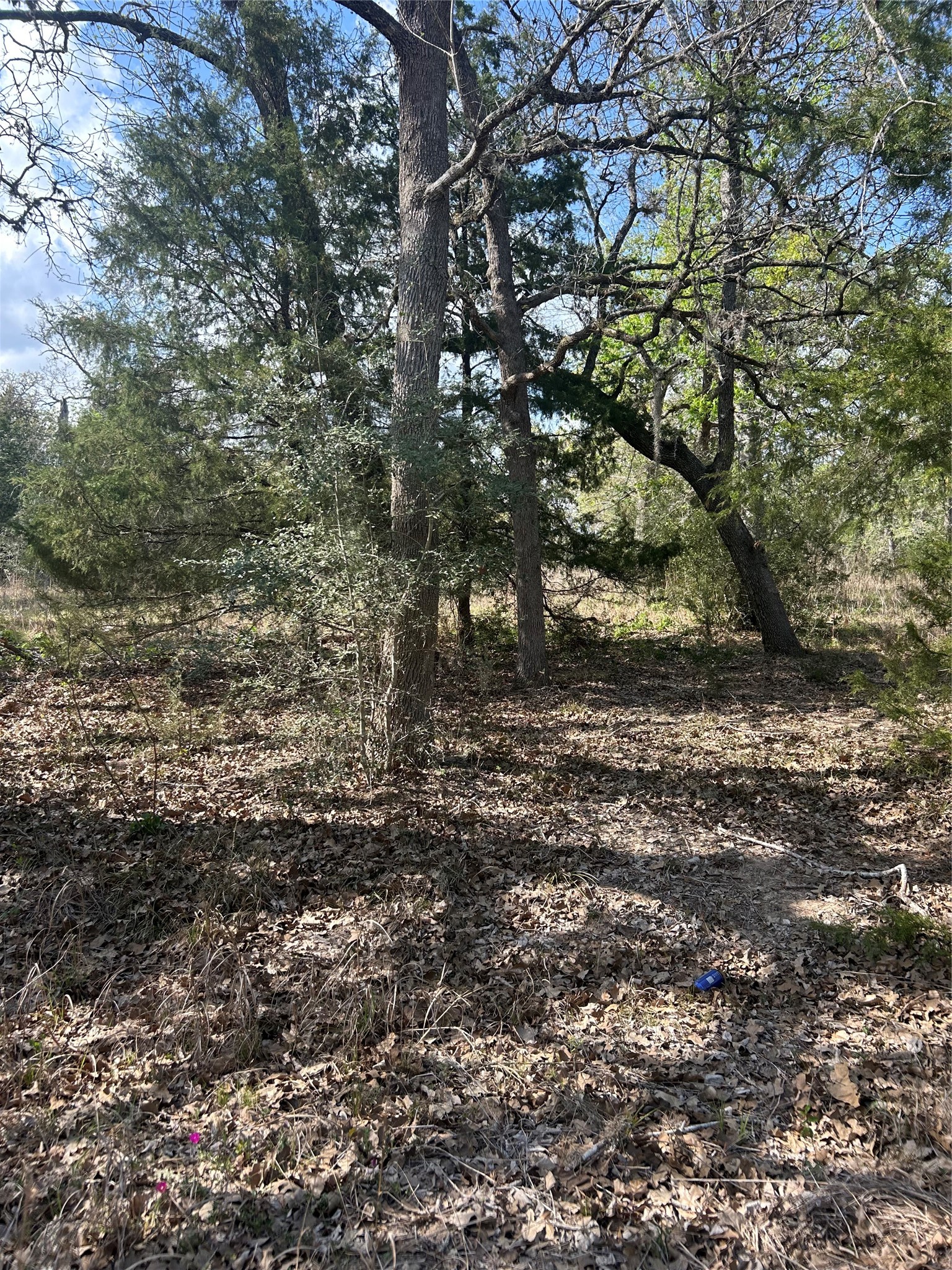 3060 Brunes Mill Road Property Photo 4