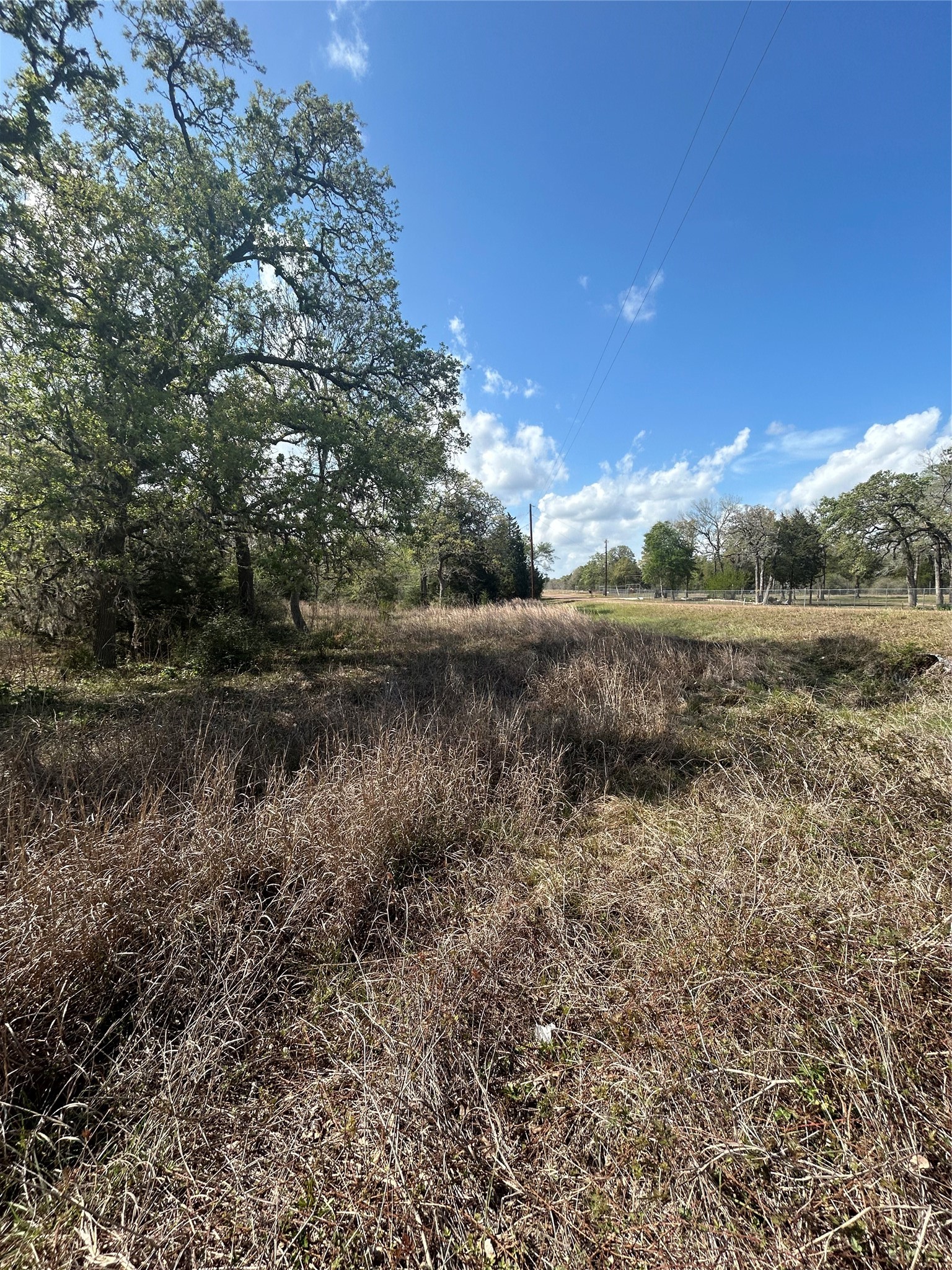 3060 Brunes Mill Road Property Photo 6