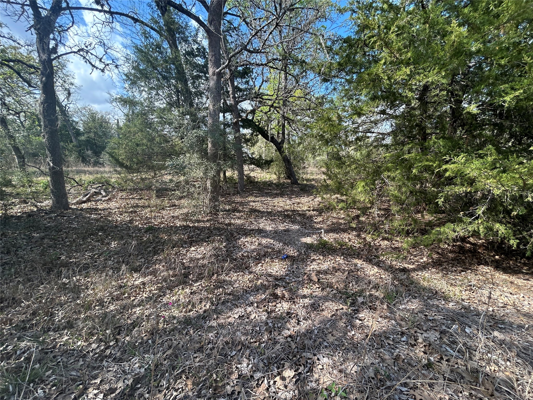 3060 Brunes Mill Road Property Photo 7