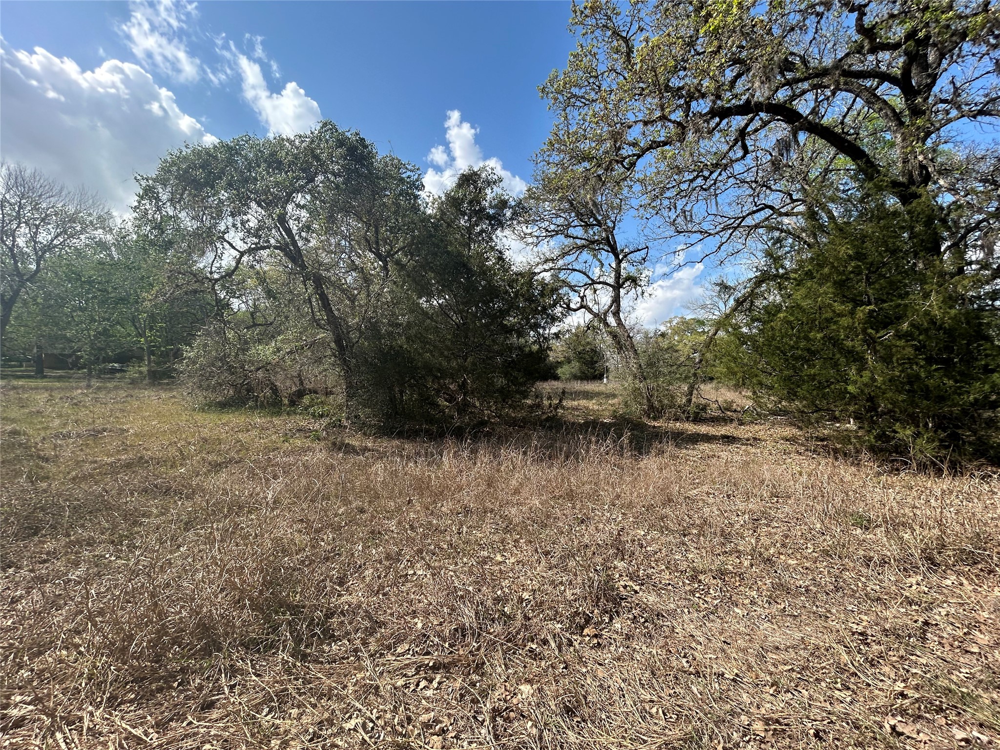 3060 Brunes Mill Road Property Photo 8