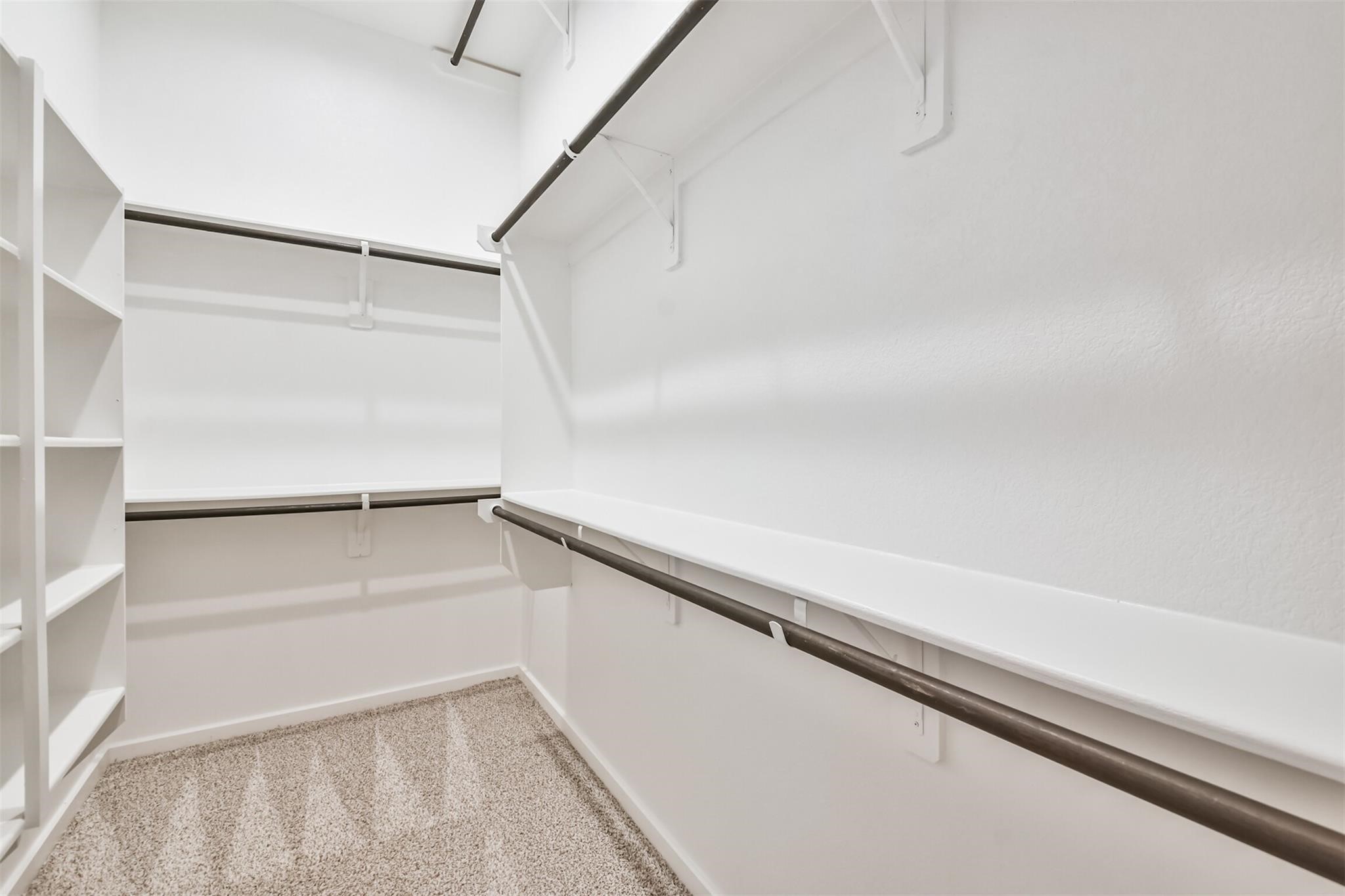 27025 Sofia Forest Drive Property Photo 14