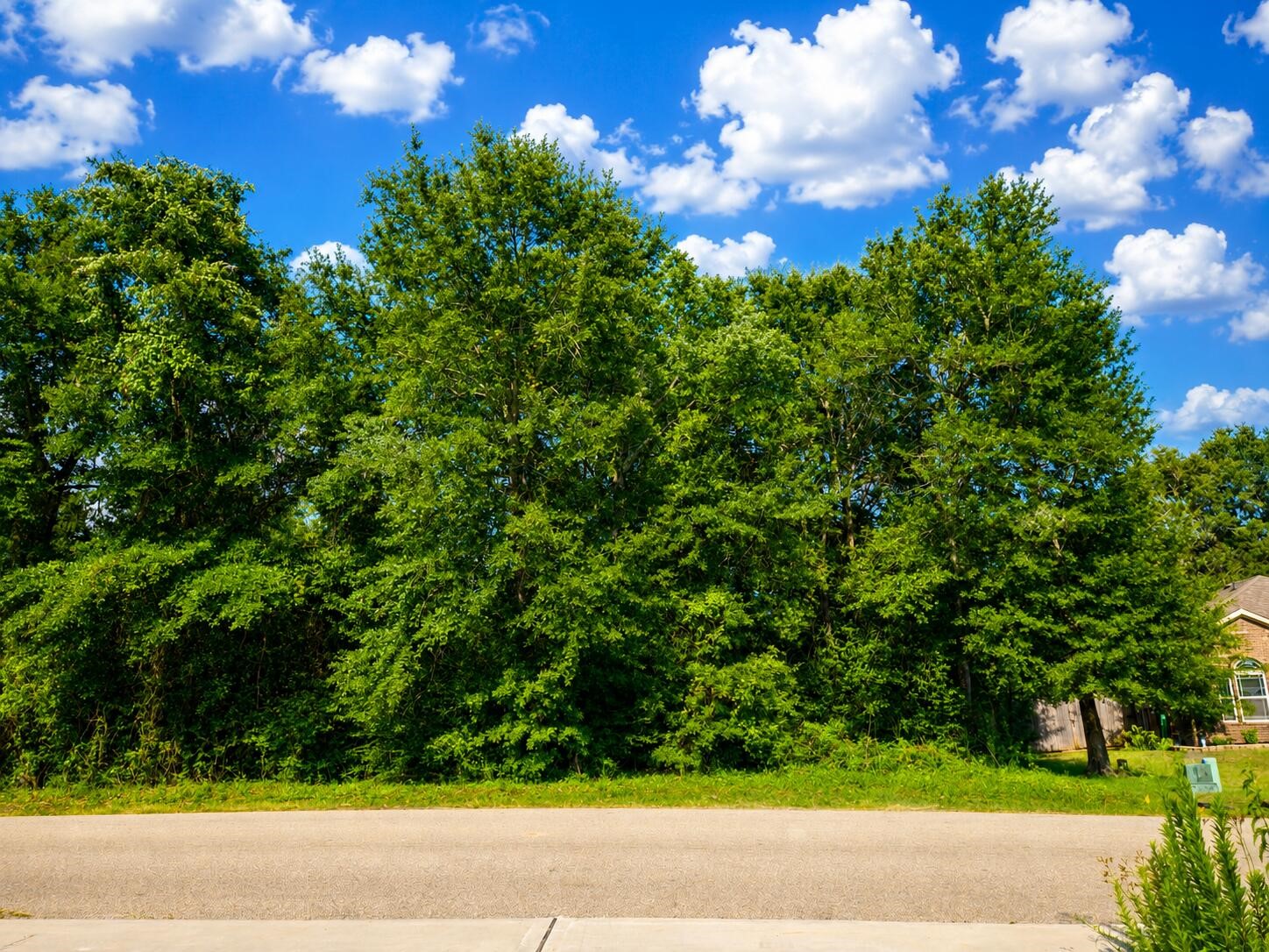 12294 Lake Conroe Hills Property Photo 2