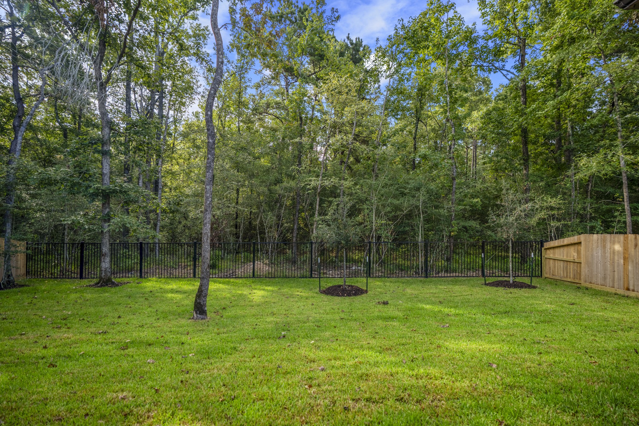 209 Lilac Tree Court Property Photo 43