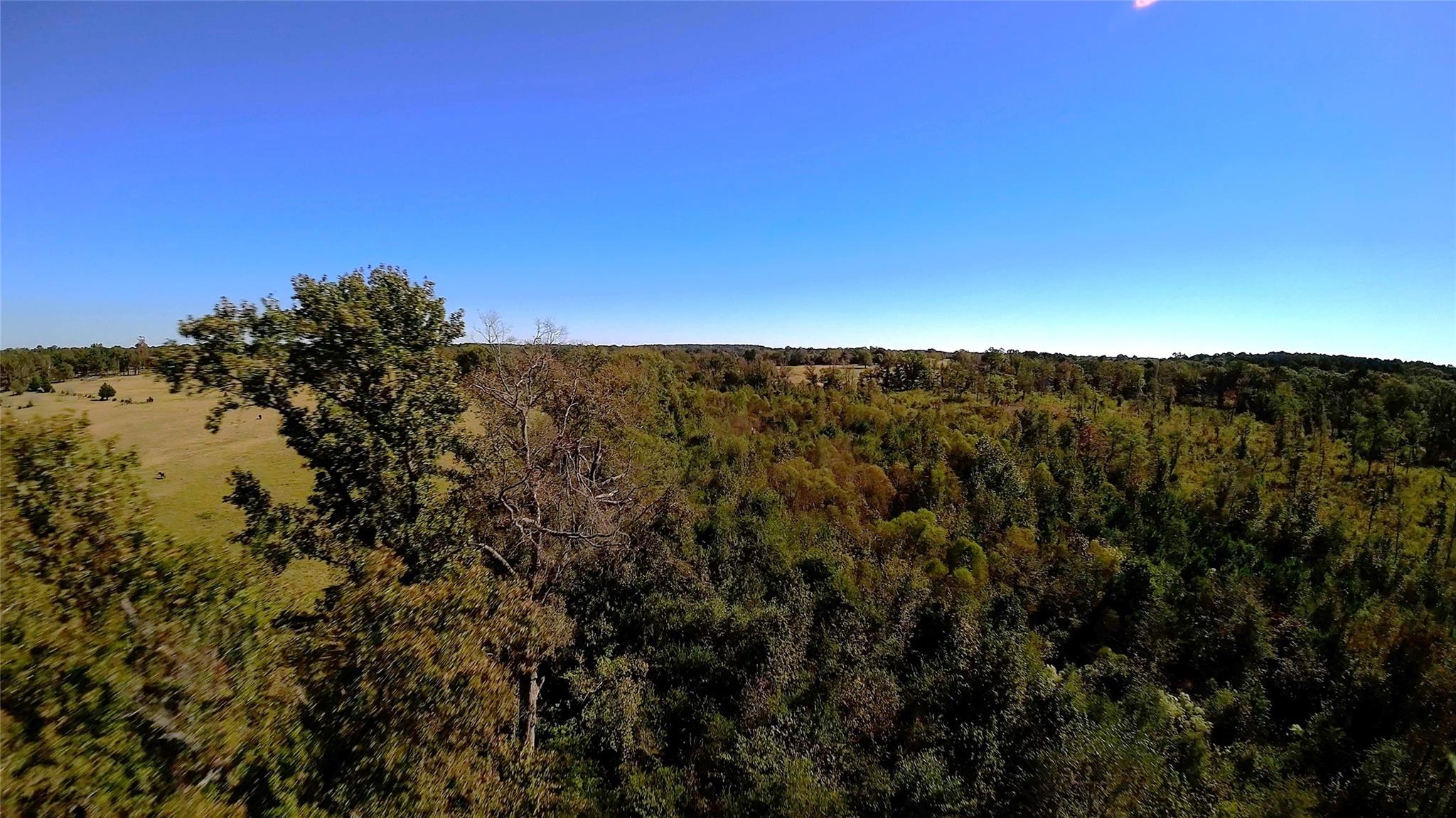 10222 Us Highway 271 N Property Photo 11