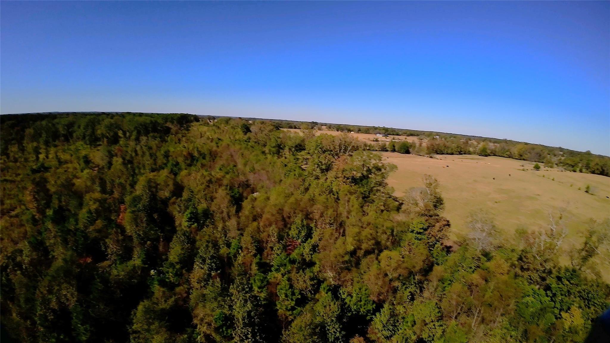 10222 Us Highway 271 N Property Photo 12