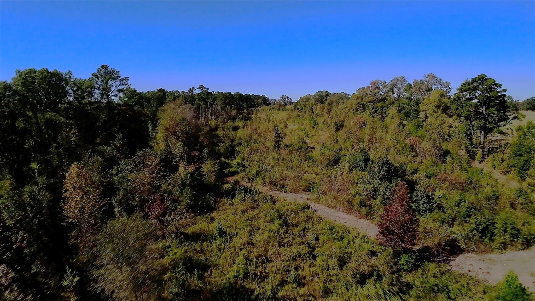 10222 Us Highway 271 N Property Photo 14