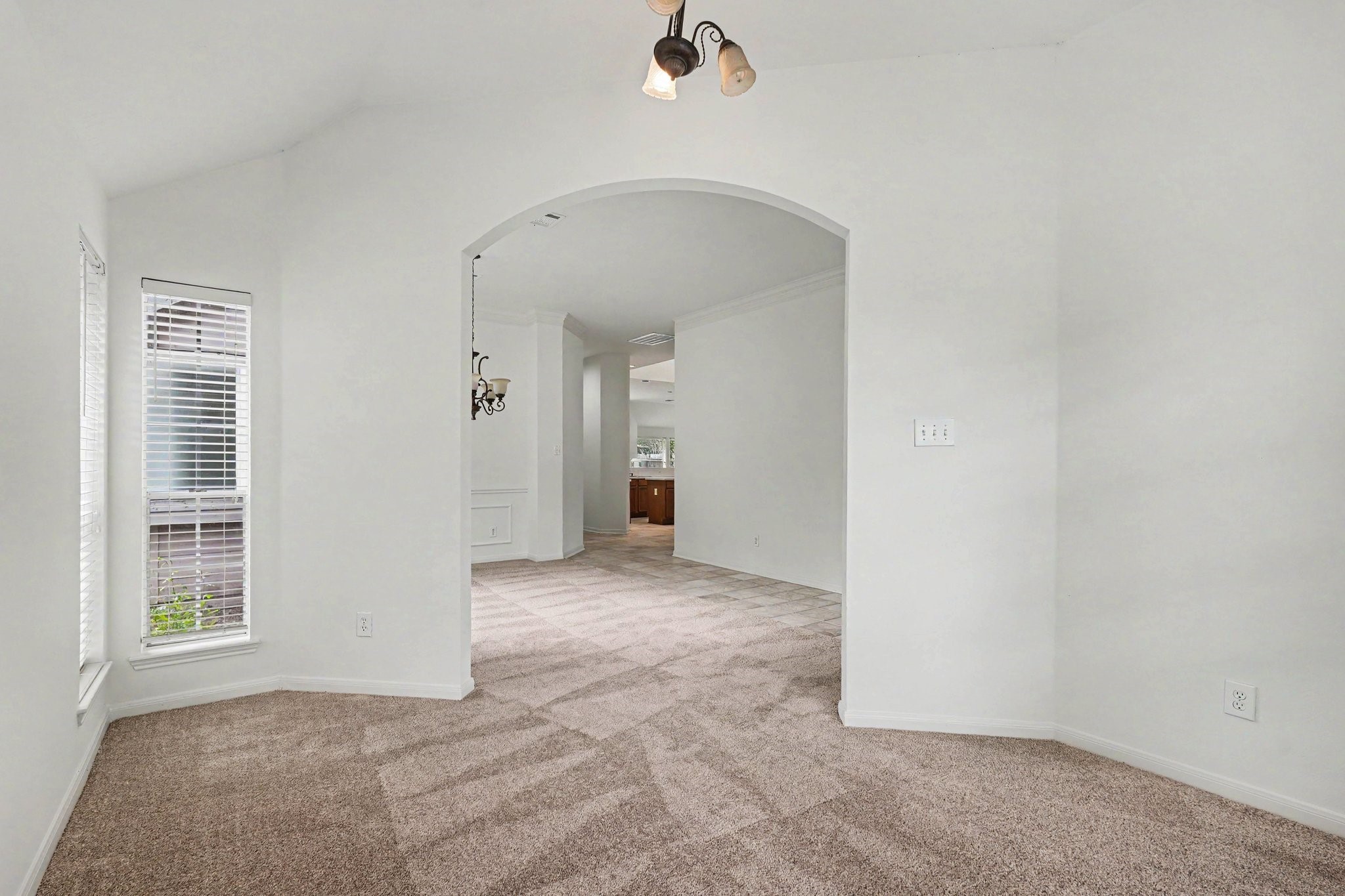 11903 Lakewood Trial Trail Property Photo 6