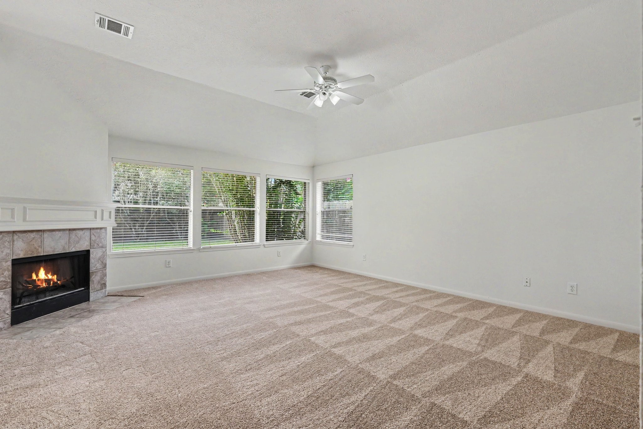 11903 Lakewood Trial Trail Property Photo 9