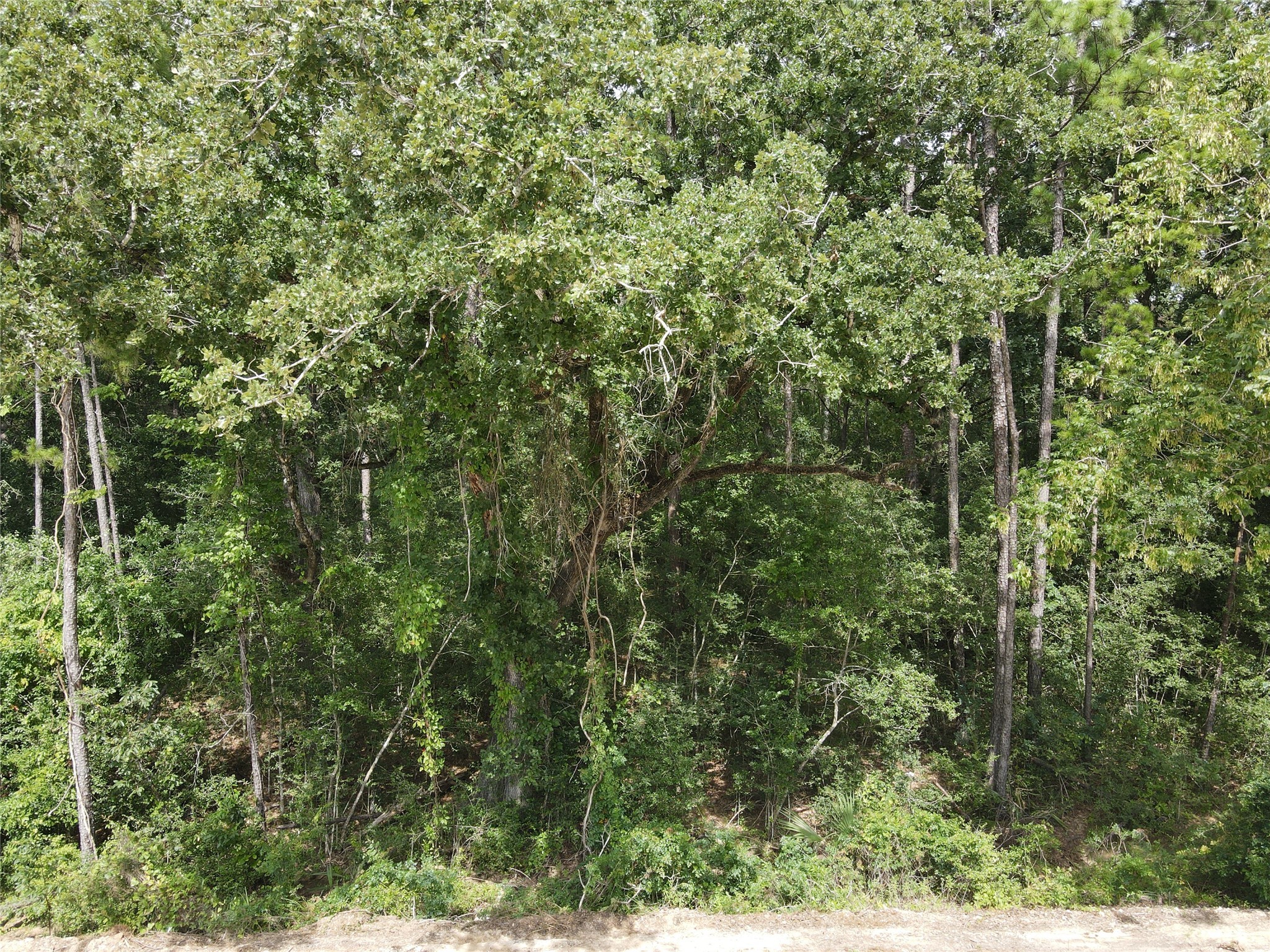 02 Garland Property Photo 26