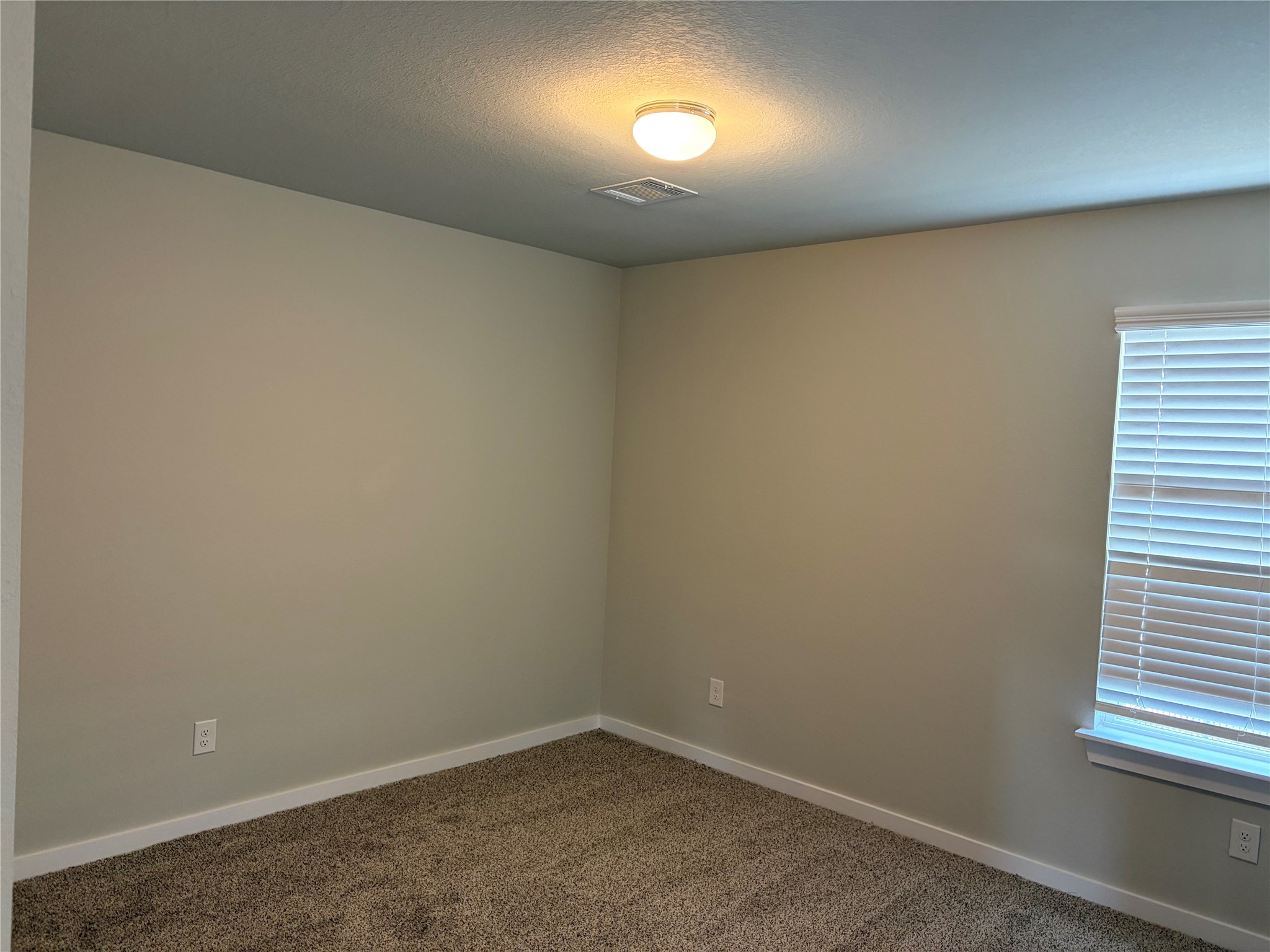 2939 Solitude Pine Lane Property Photo 26