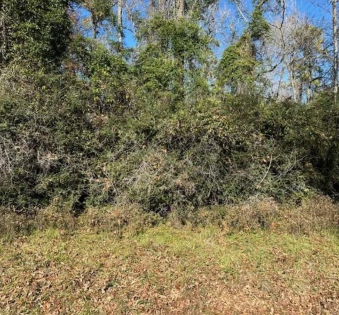 0 Winding Creek Dr Property Photo 2