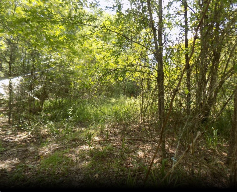 0 Winding Creek Dr Property Photo 3
