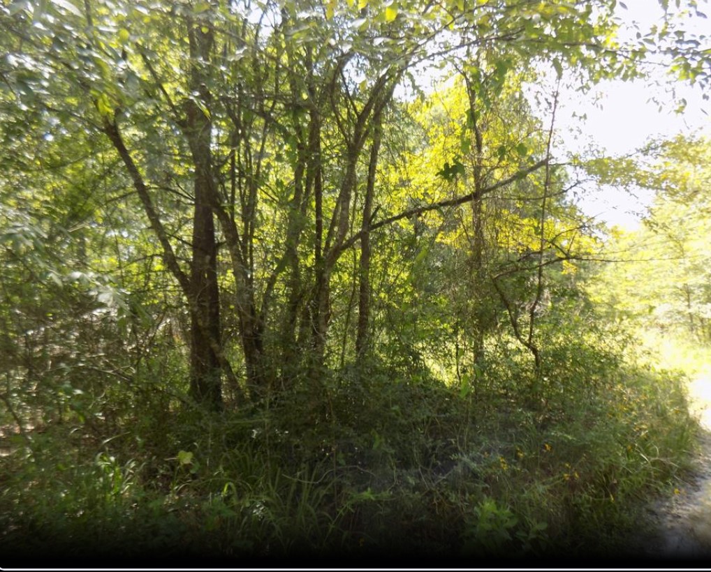 0 Winding Creek Dr Property Photo 4