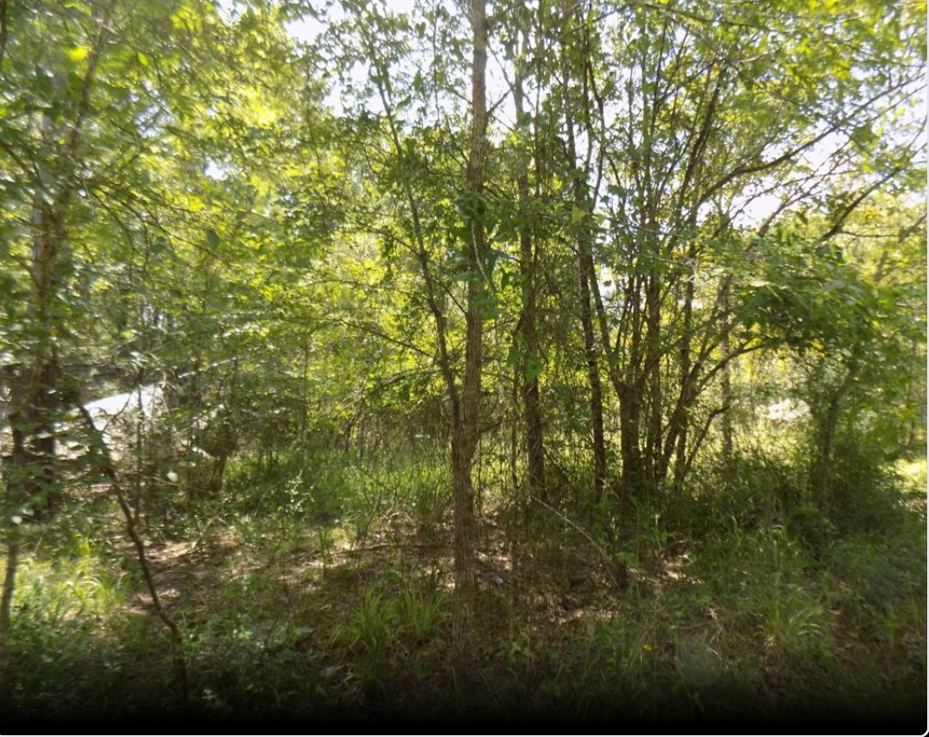 0 Winding Creek Dr Property Photo 5