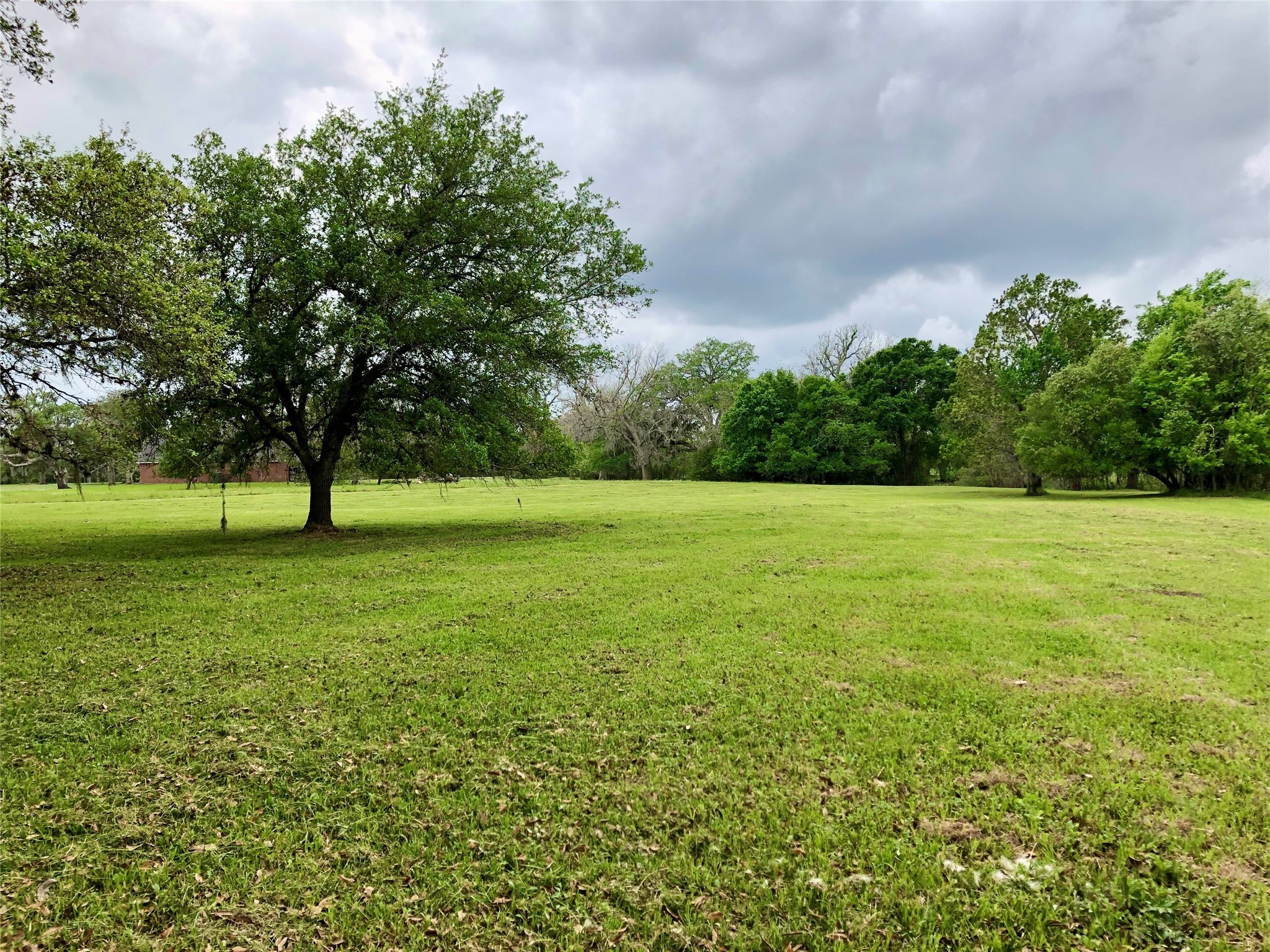 908 Winchester Trail Property Photo 14